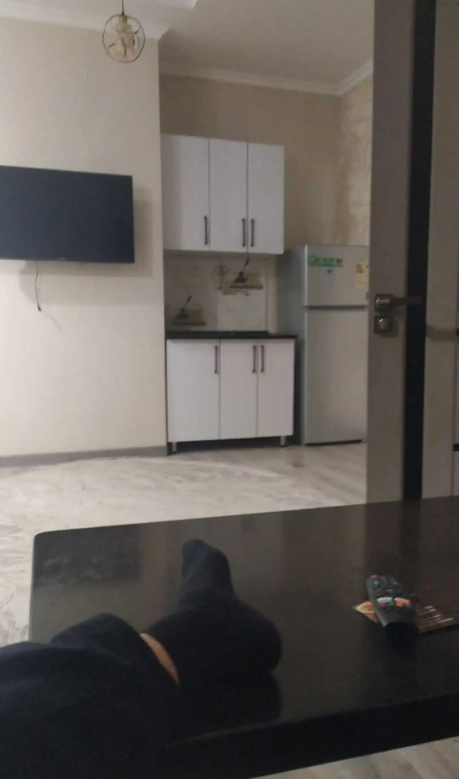 2-комн. квартира, 9 этаж, 67м², голубой экран