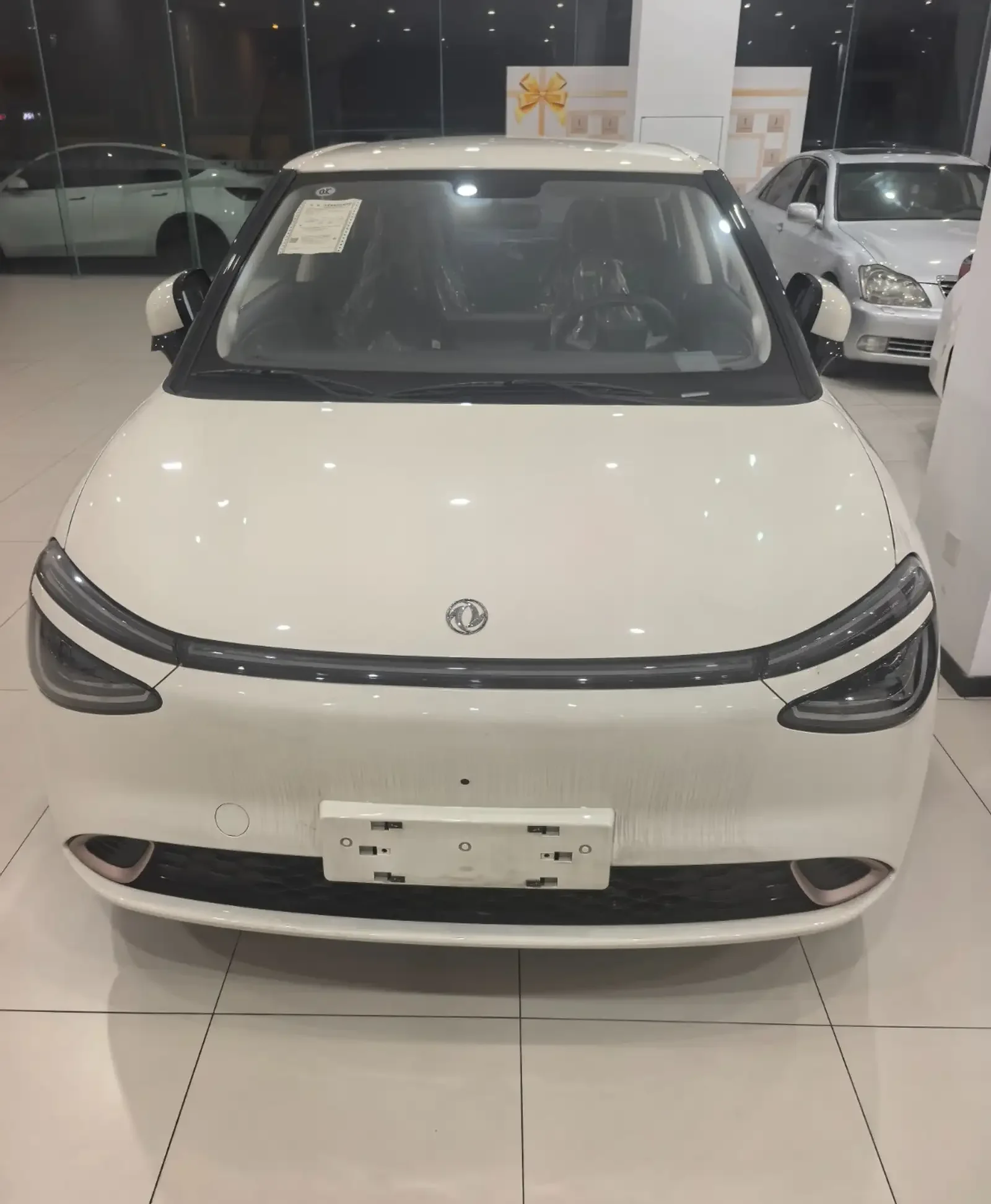 Dongfeng Nammi 2025
