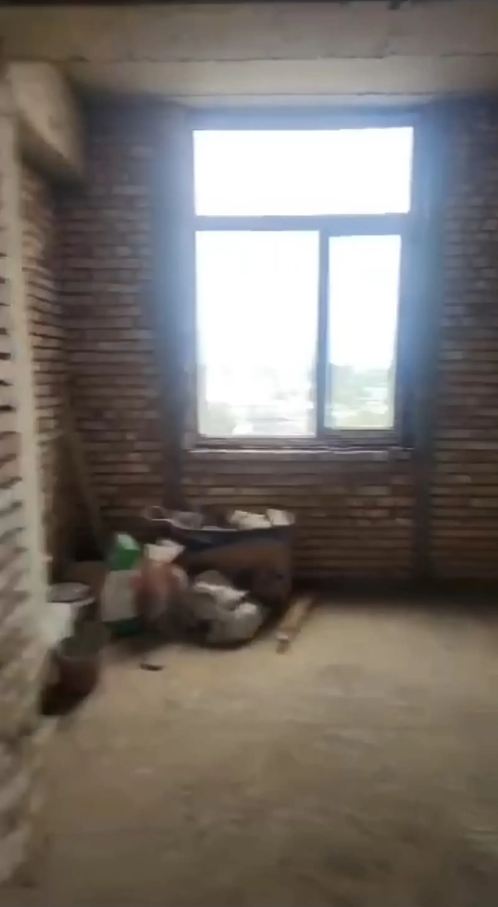 2-комн. квартира, 5 этаж, 72 м², Бари ХиЛтон