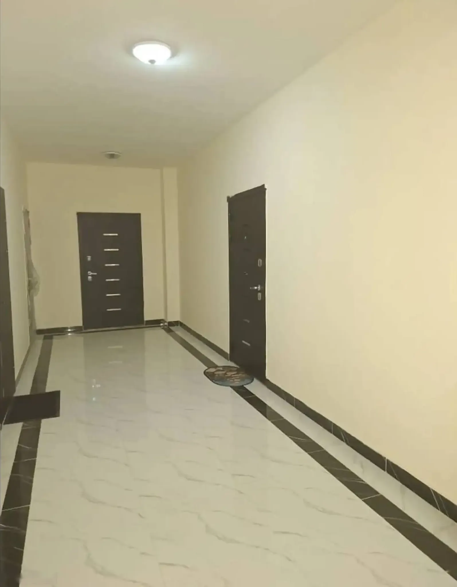 2-комн. квартира, 5 этаж, 50 м², Сино