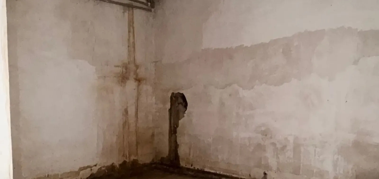 Помещение под свободное назначение, 365м², Сино,  Посольство Узбекистан