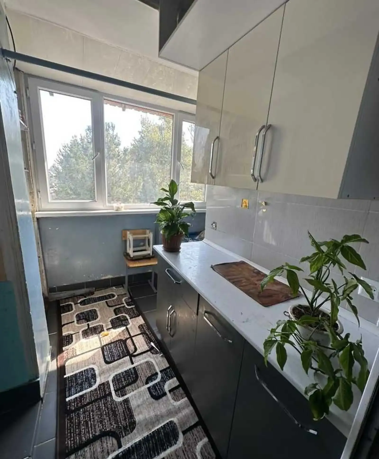 3-комн. квартира, 4 этаж, 60м², сино