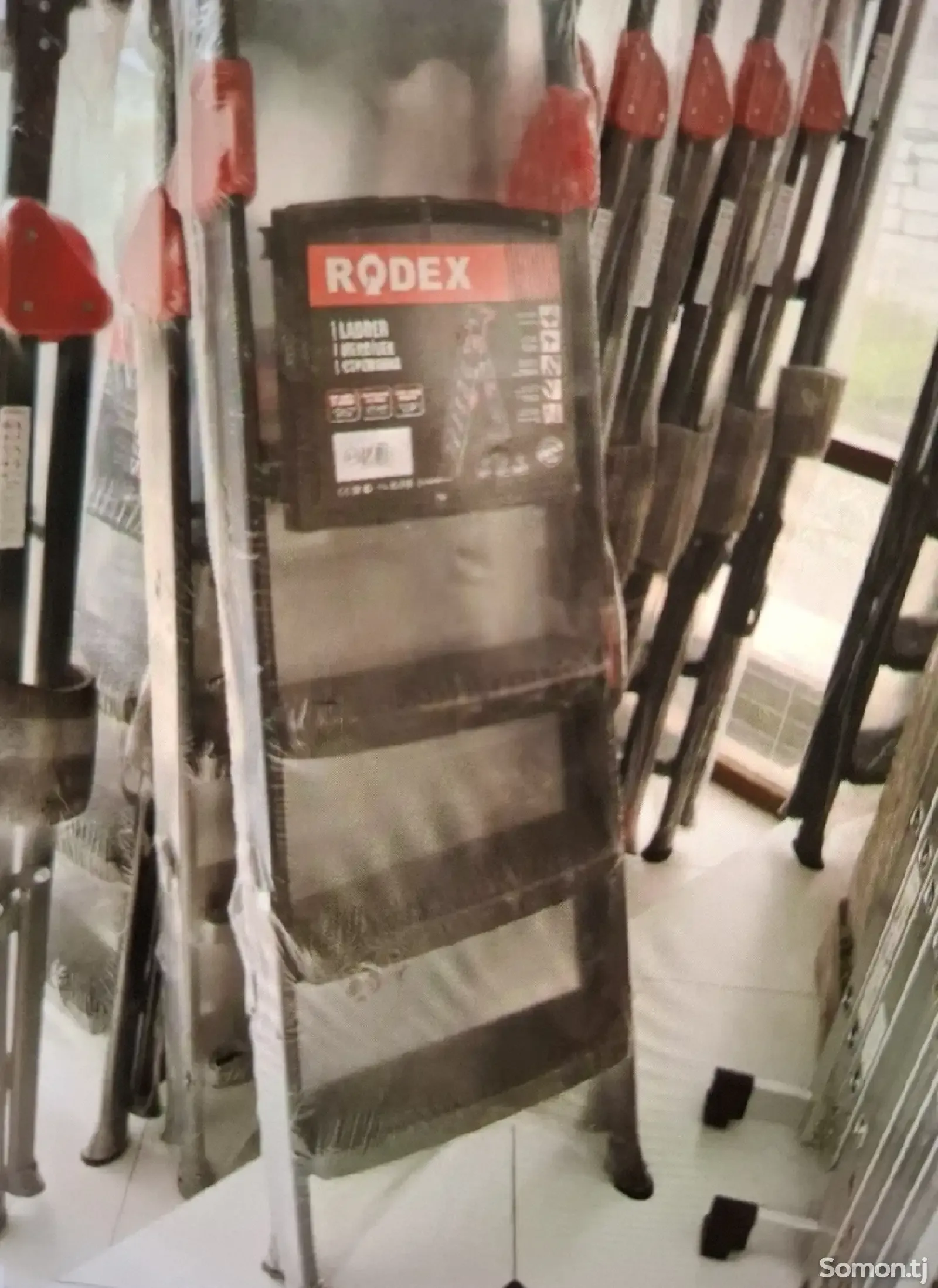 Стремянка Rodex