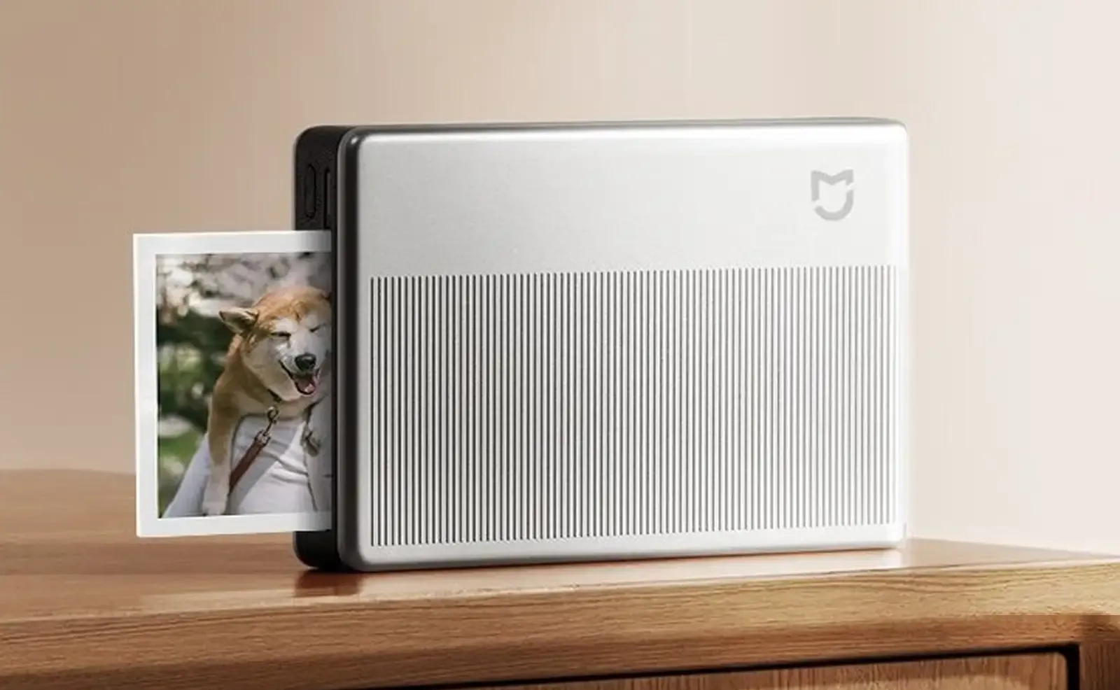 Портативный фотопринтер Xiaomi Portable Photo Printer 1S серебристый