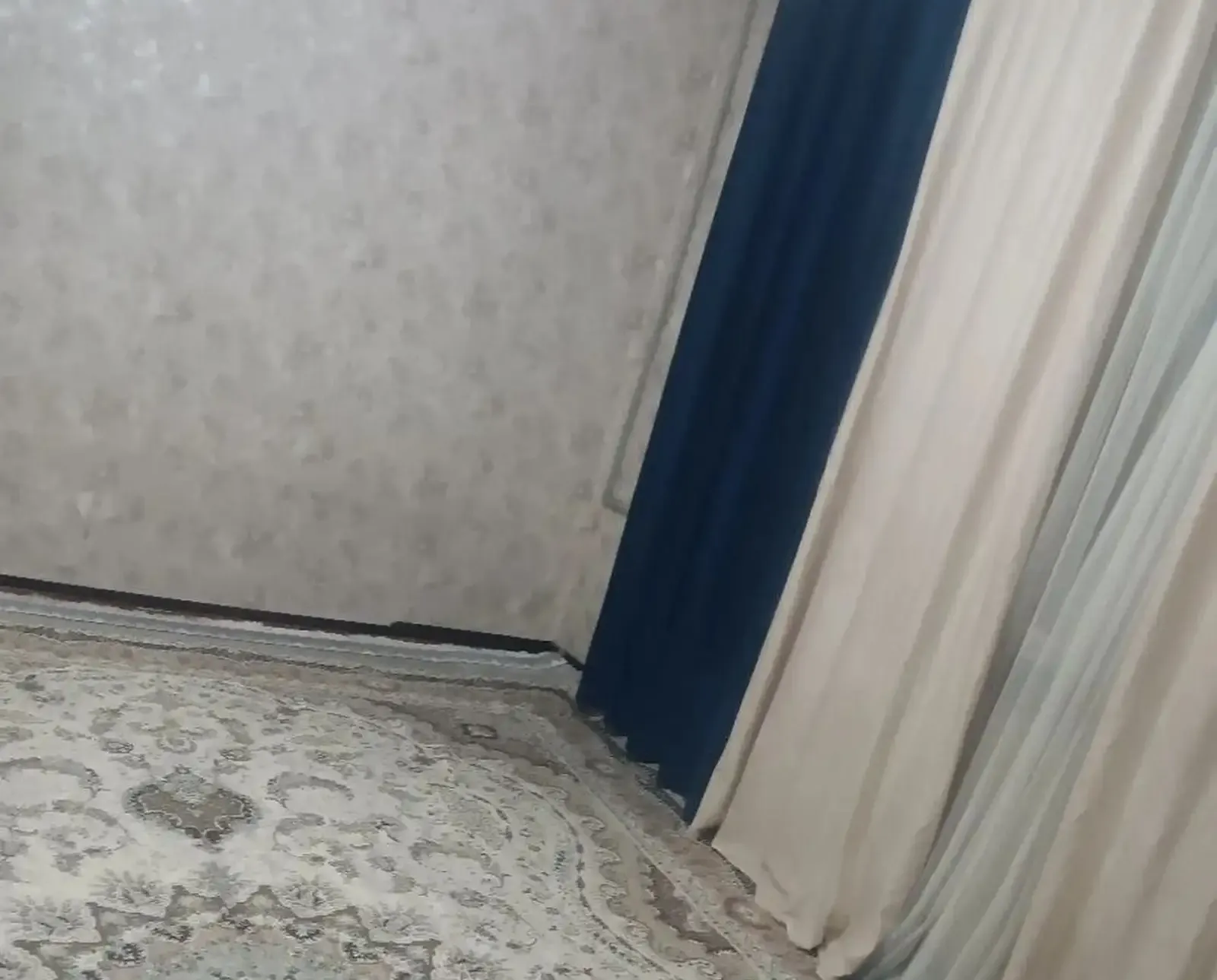 1-к квартира, 4 этаж, 30 м², Цирк