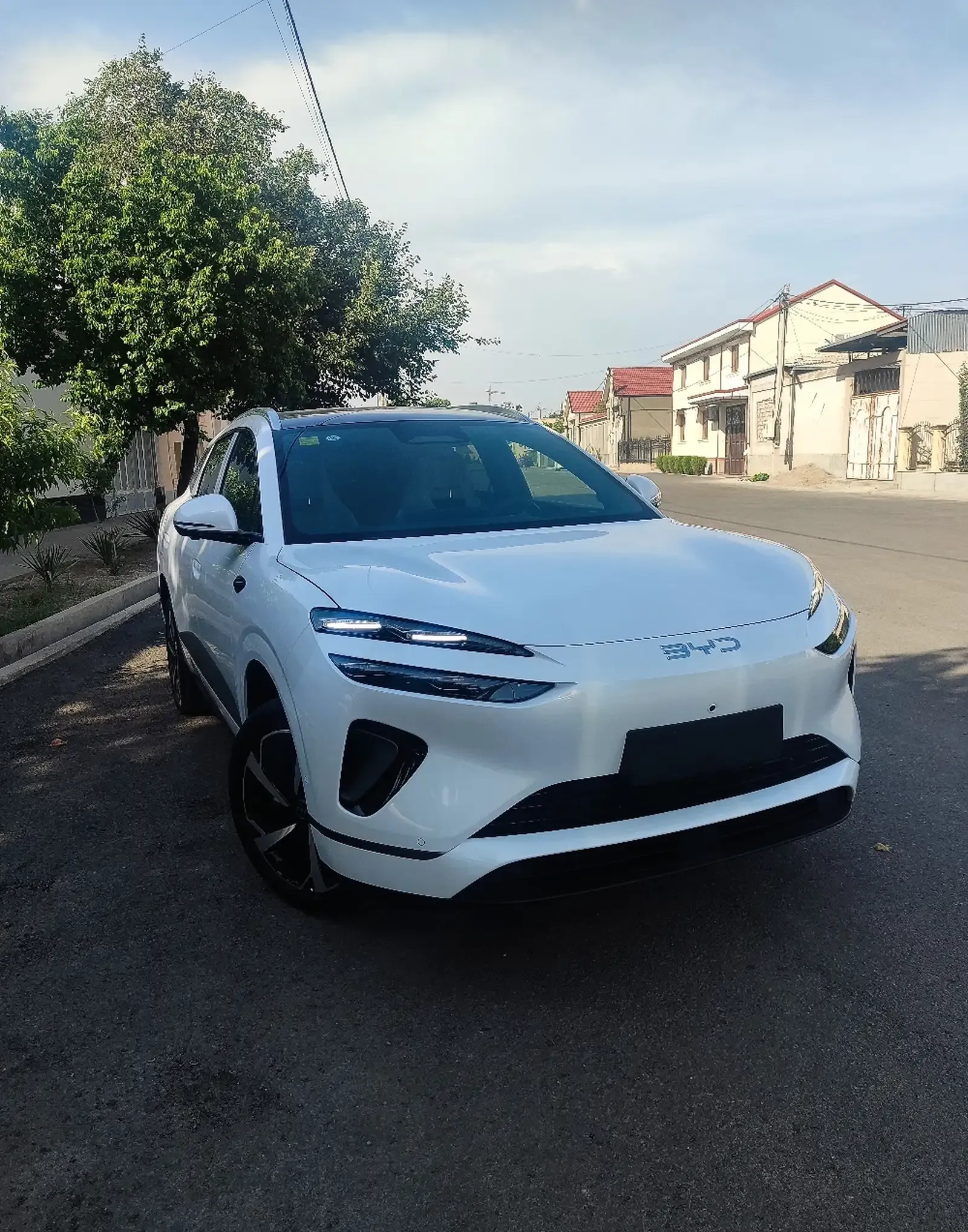 BYD Sea Lion 06, 2025