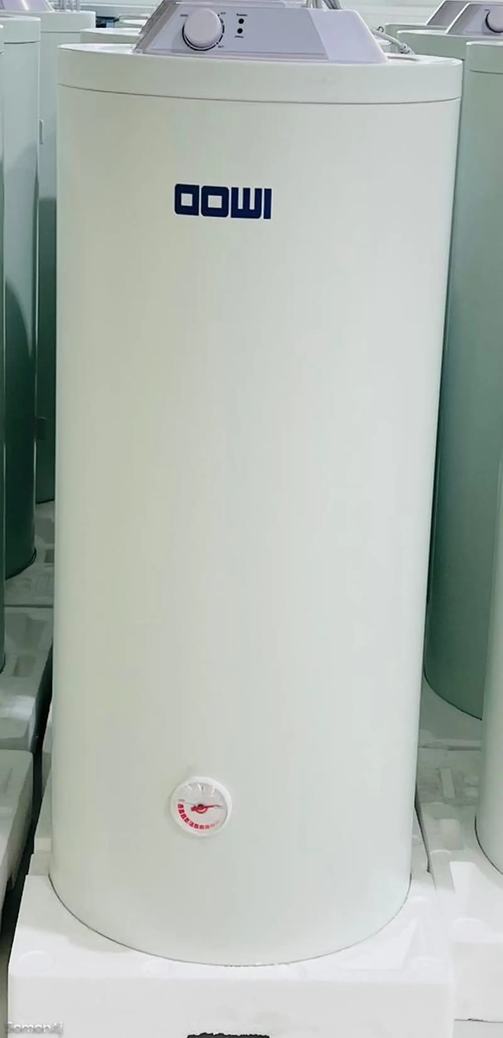 Термекс 100л