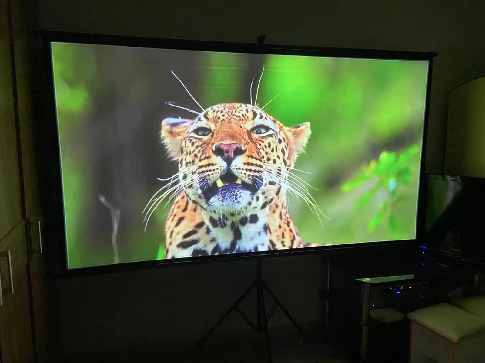 Проектор Full HD 4K в аренду