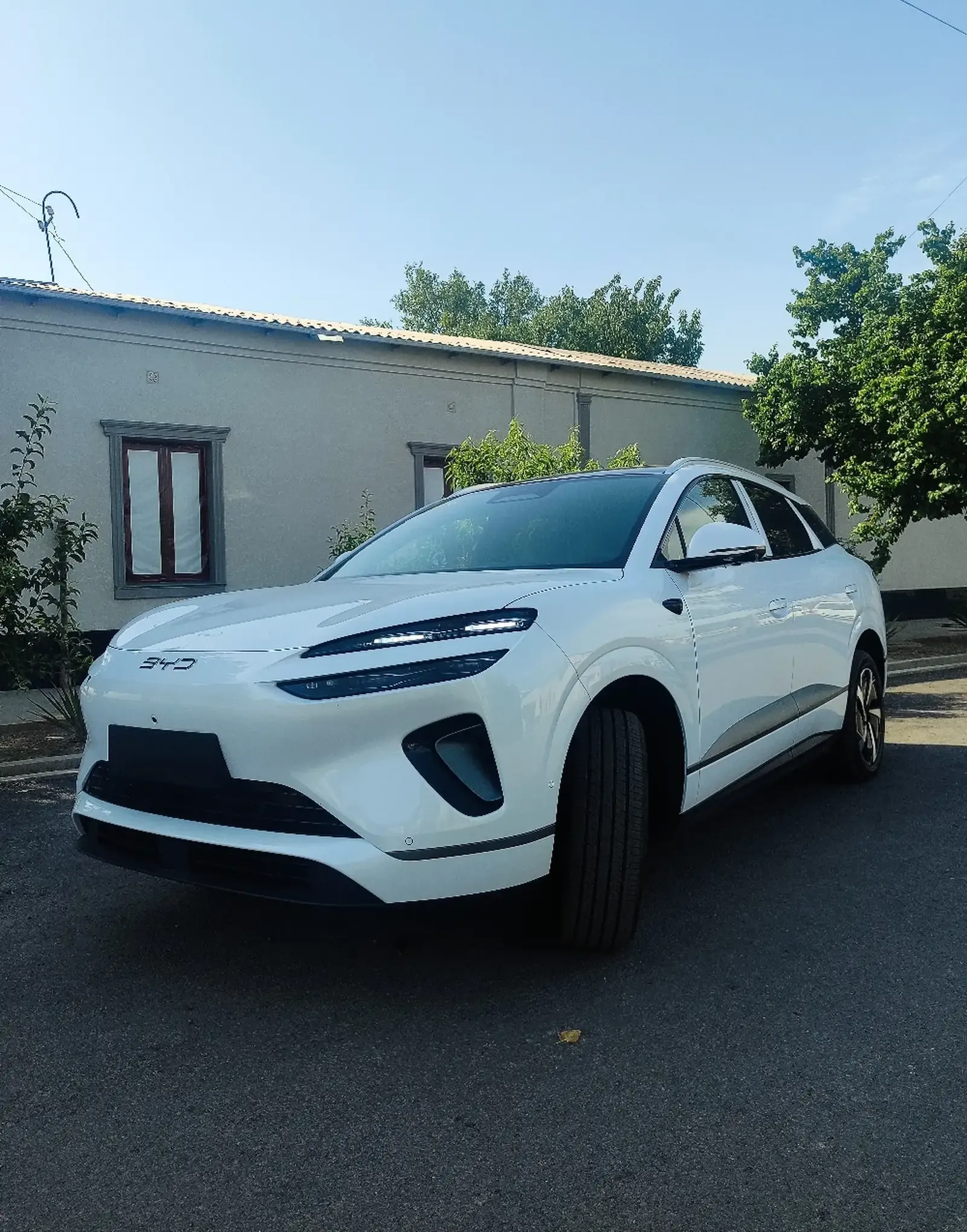BYD Sea Lion 06, 2025