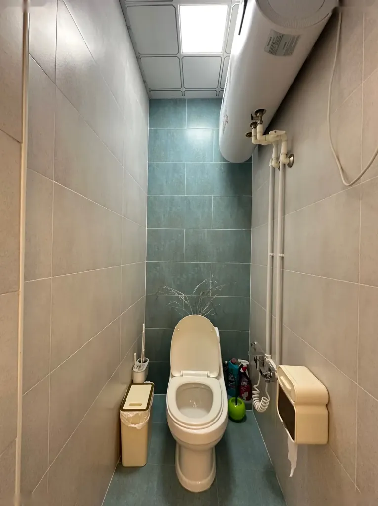 2-комн. квартира, 10 этаж, 66 м², ОВИР, Султанбей, Парк Алишера Навои, Шохмансур