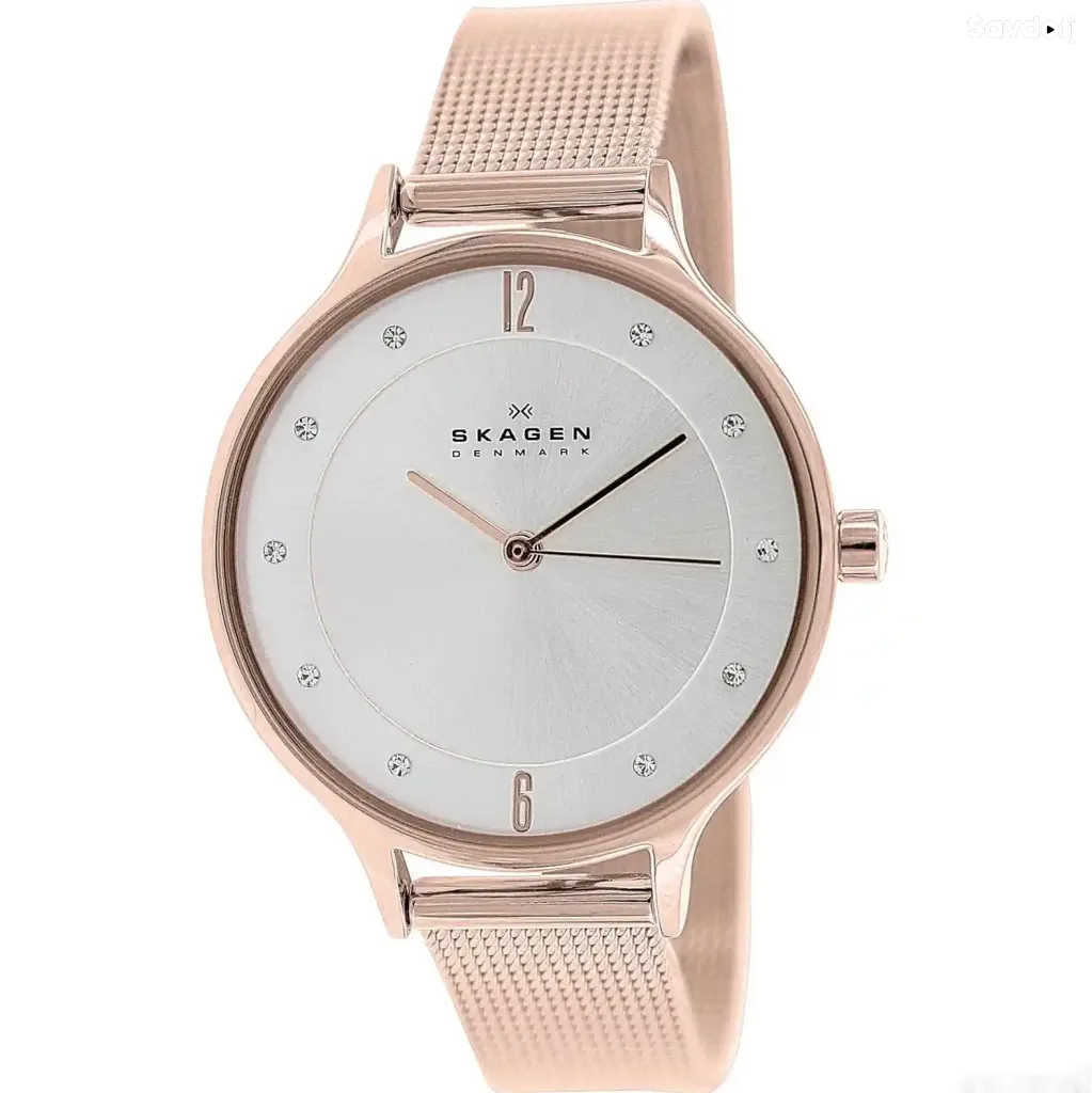 Часы Skagen SKW2151