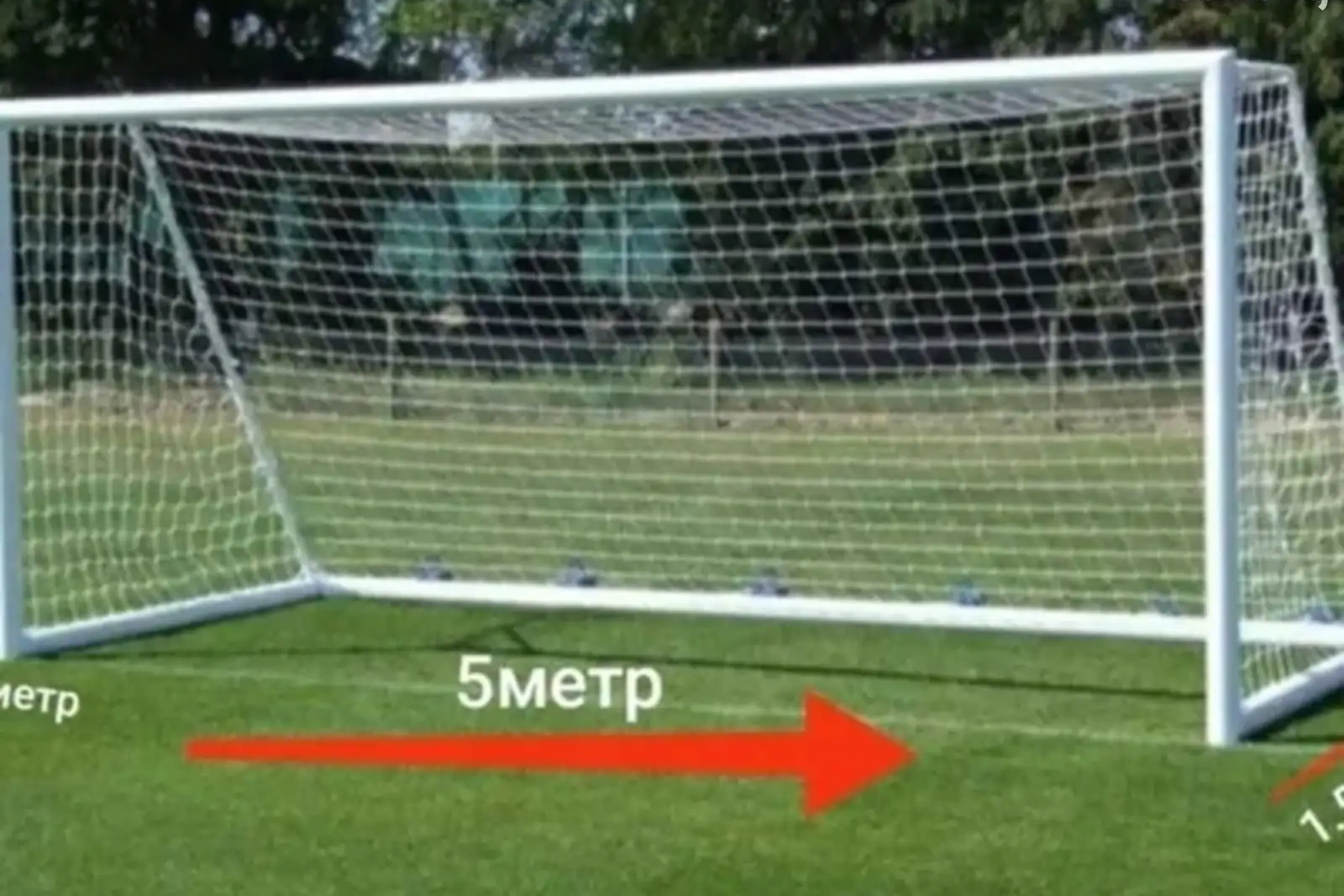 Сетка для ворот
