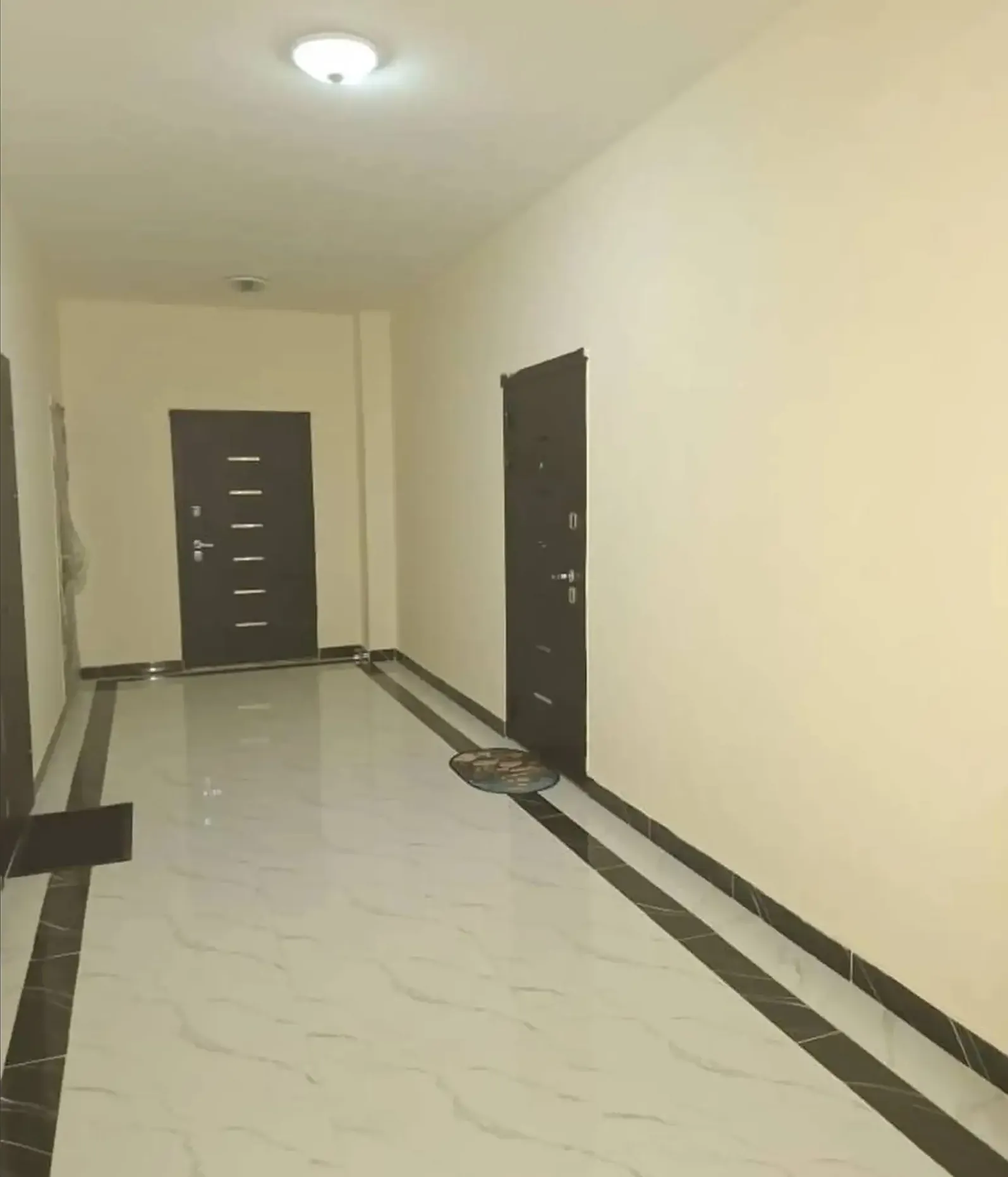 2-комн. квартира, 5 этаж, 50 м², Сино, Профсоюз