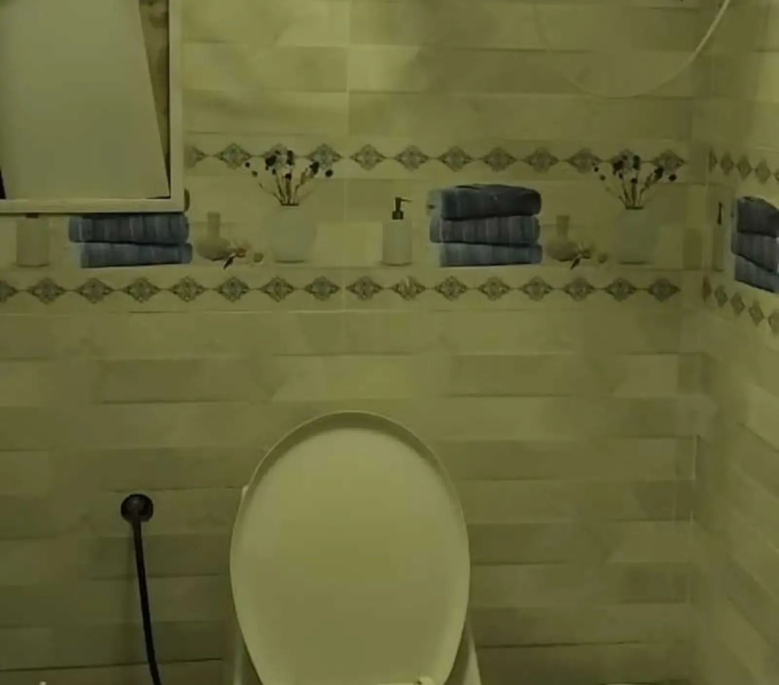 2-комн. квартира, 9 этаж, 67м², голубой экран