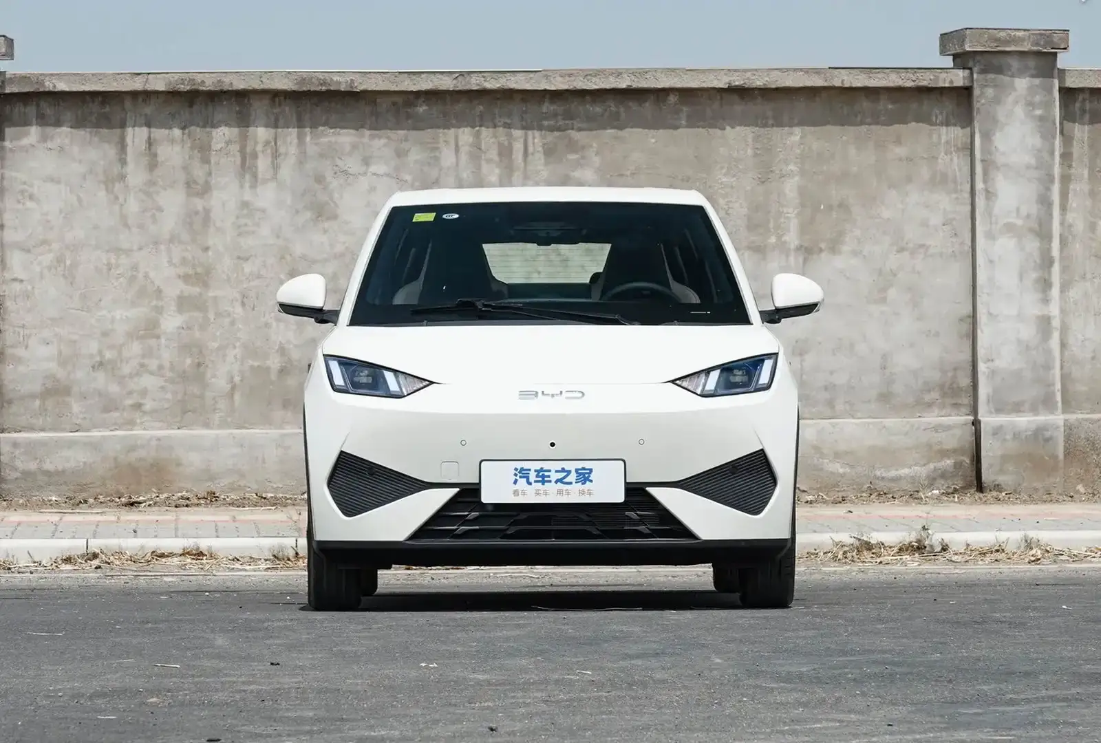 BYD Seagull,