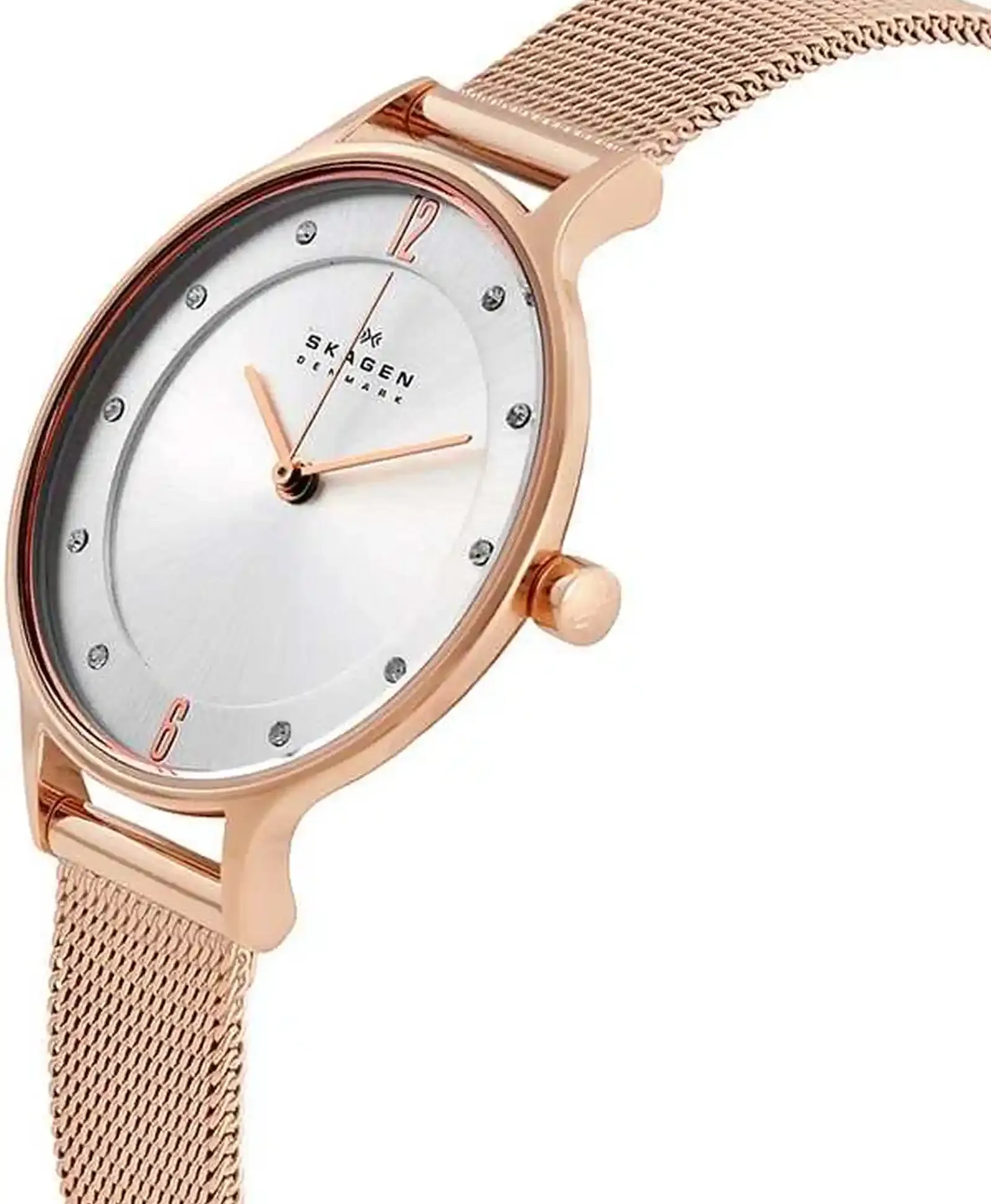 Часы Skagen SKW2151
