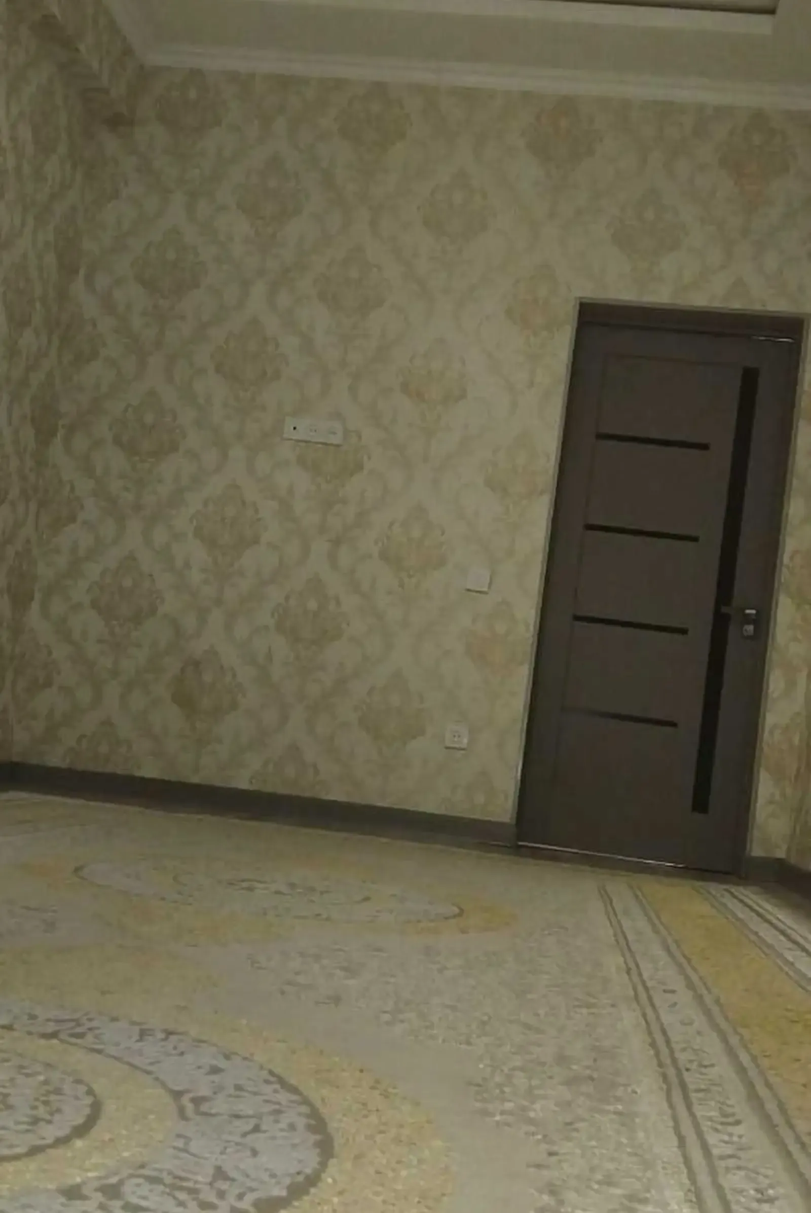2-комн. квартира, 9 этаж, 67м², голубой экран