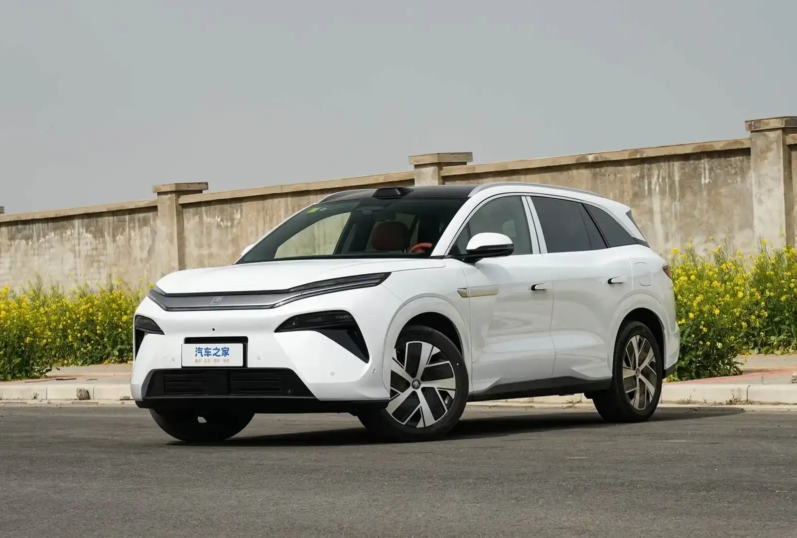 BYD Tang,