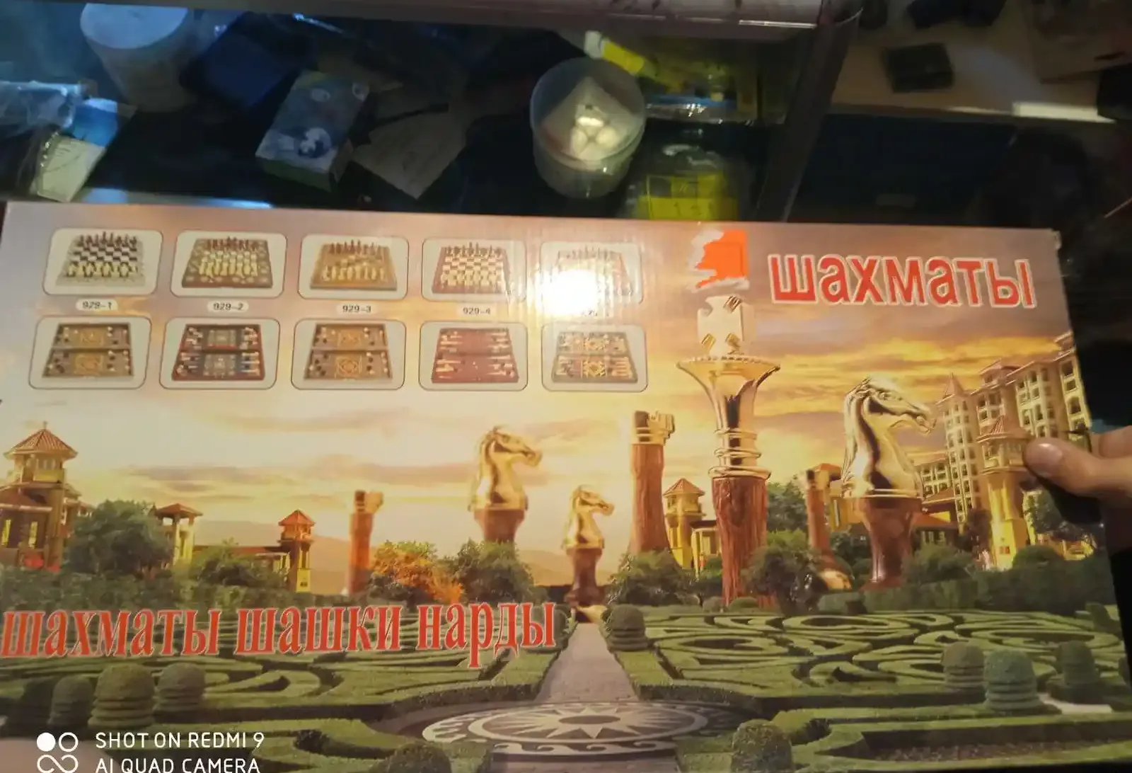 Шахматы