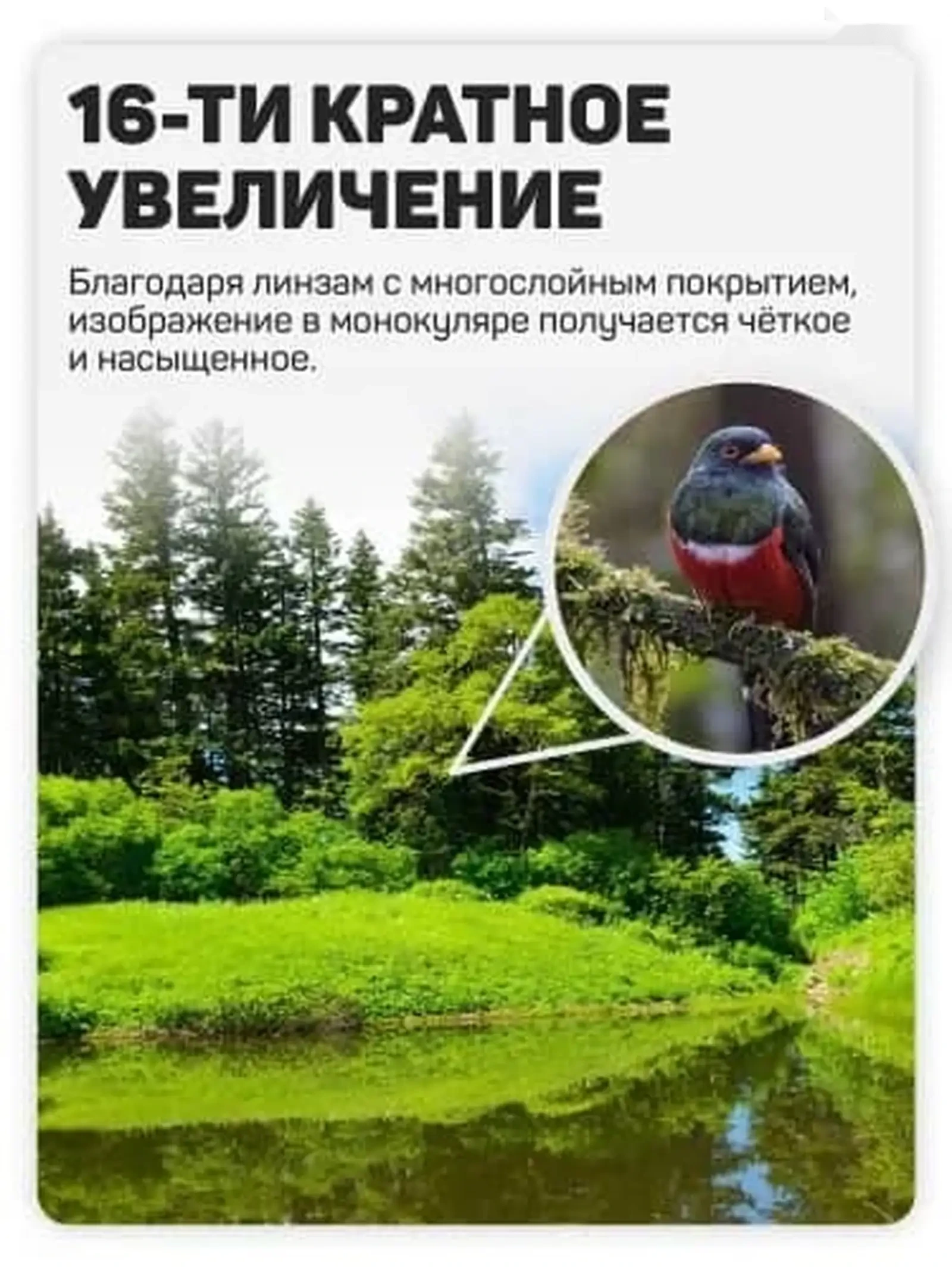 Монокуляр туристичикский — фото 6