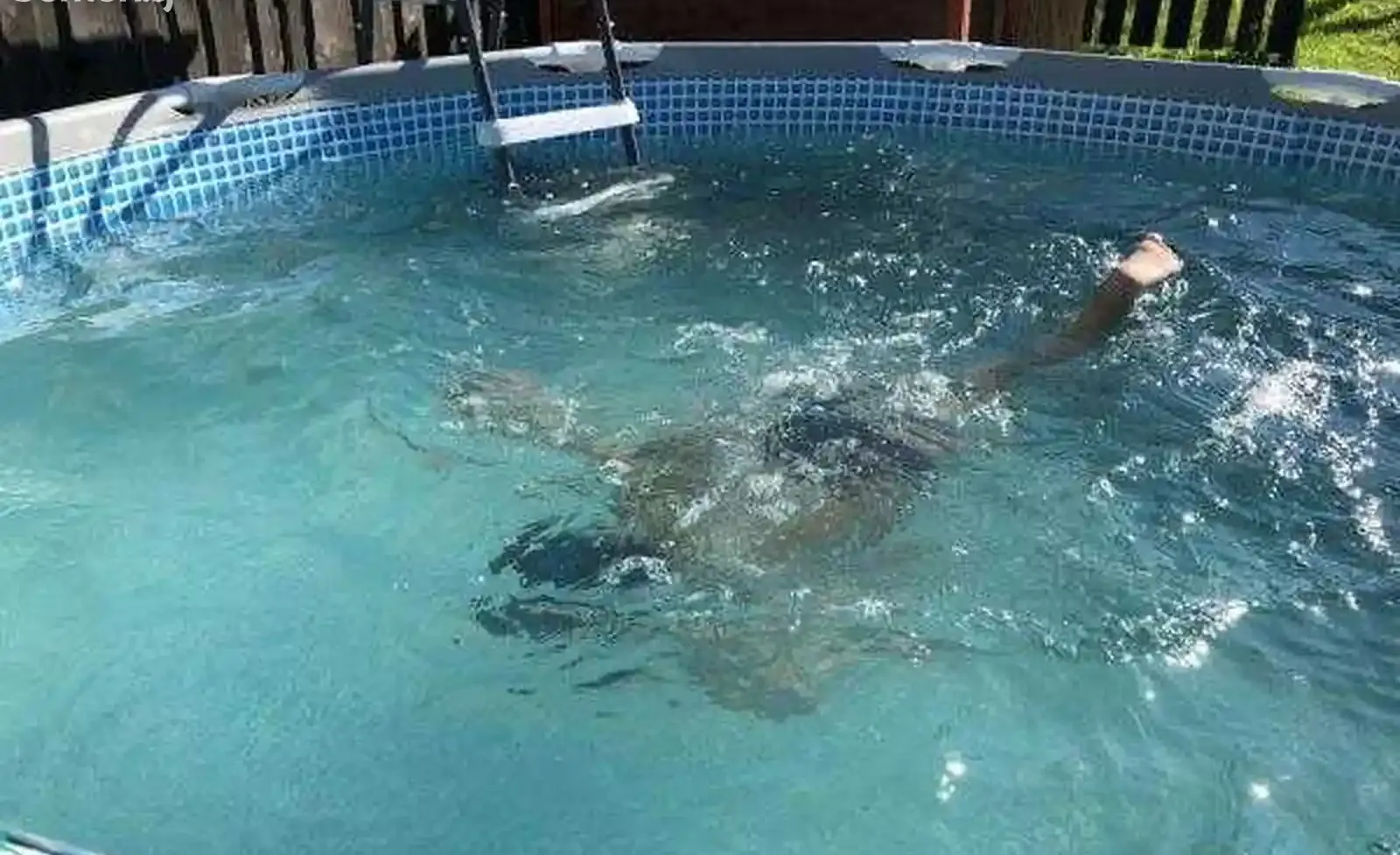 Каркасный бассейн