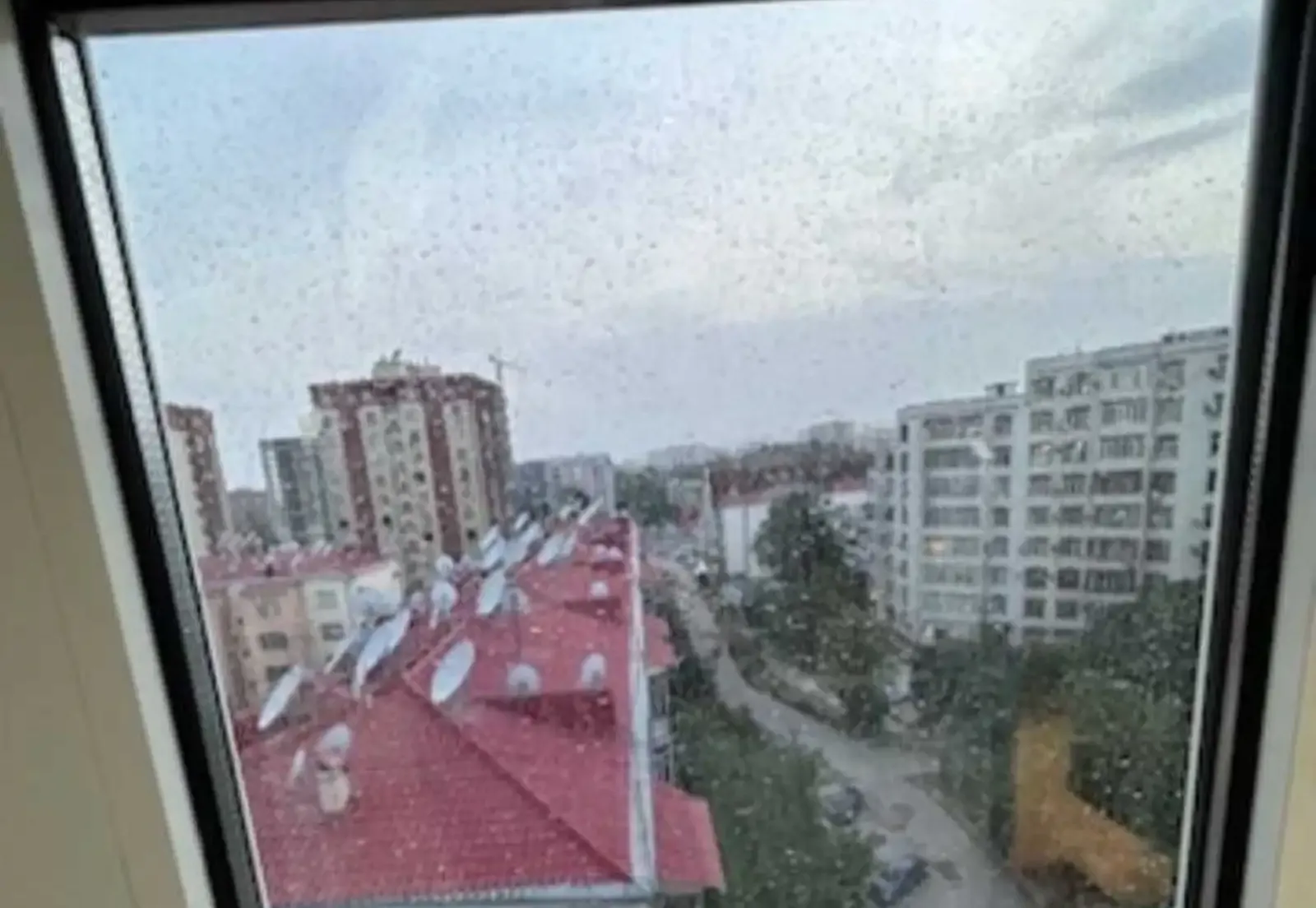 3-комн. квартира, 7 этаж, 110 м², Сино