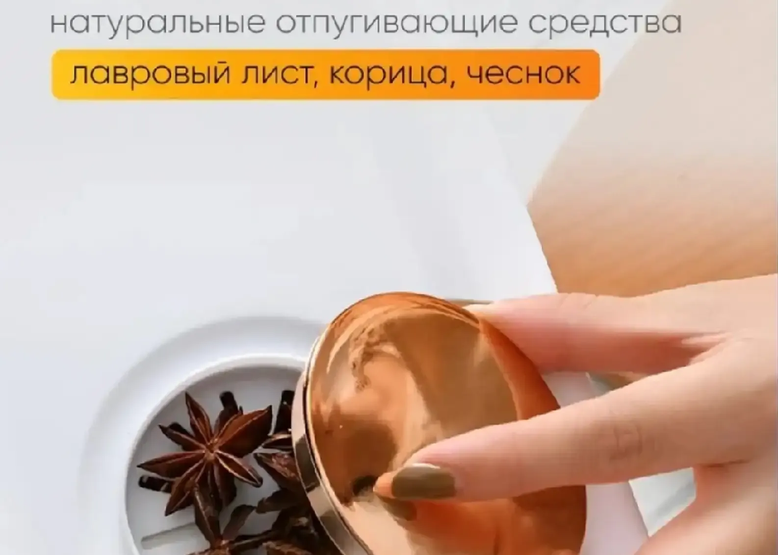 Органайзер