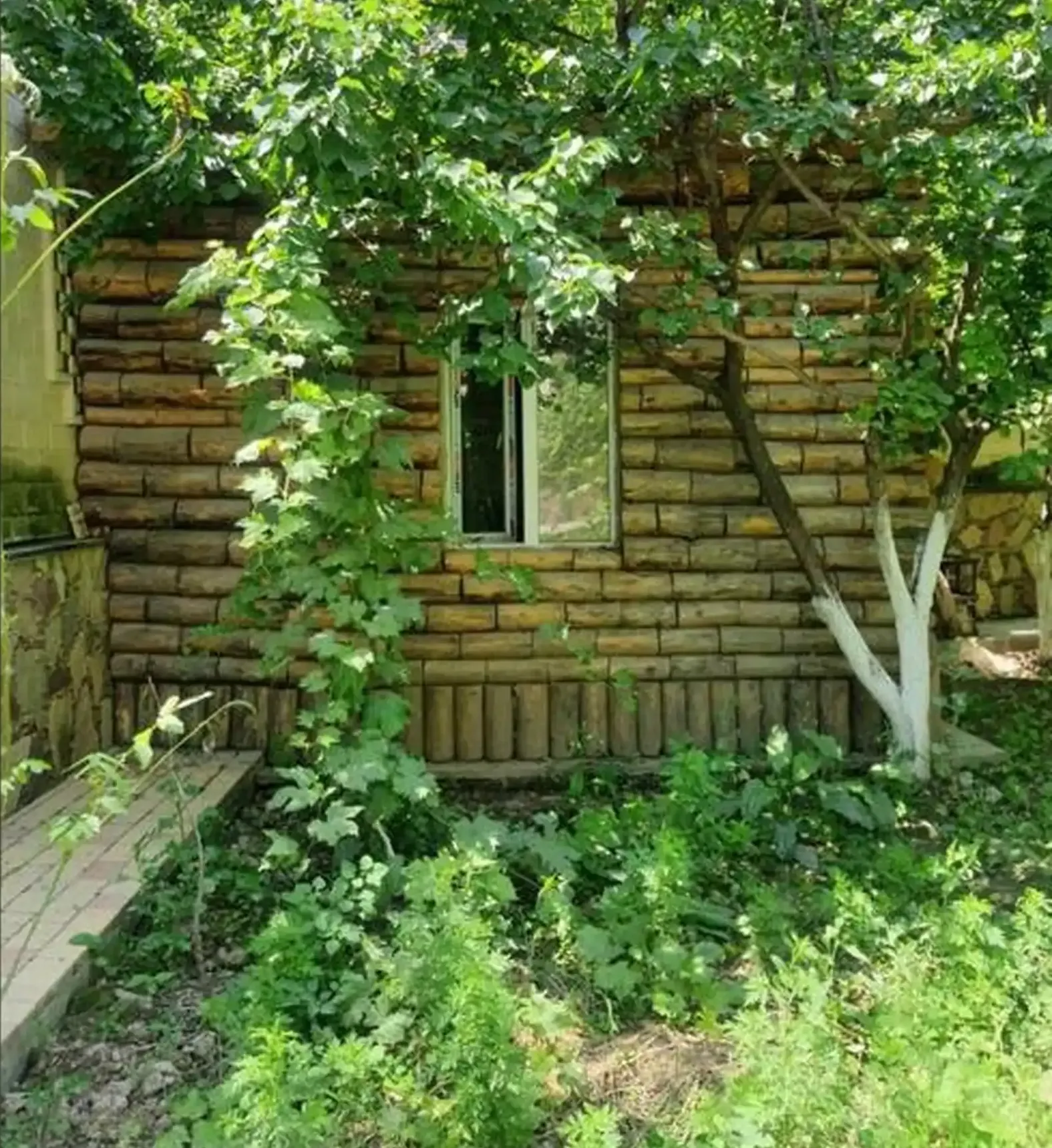 Дом, Сино