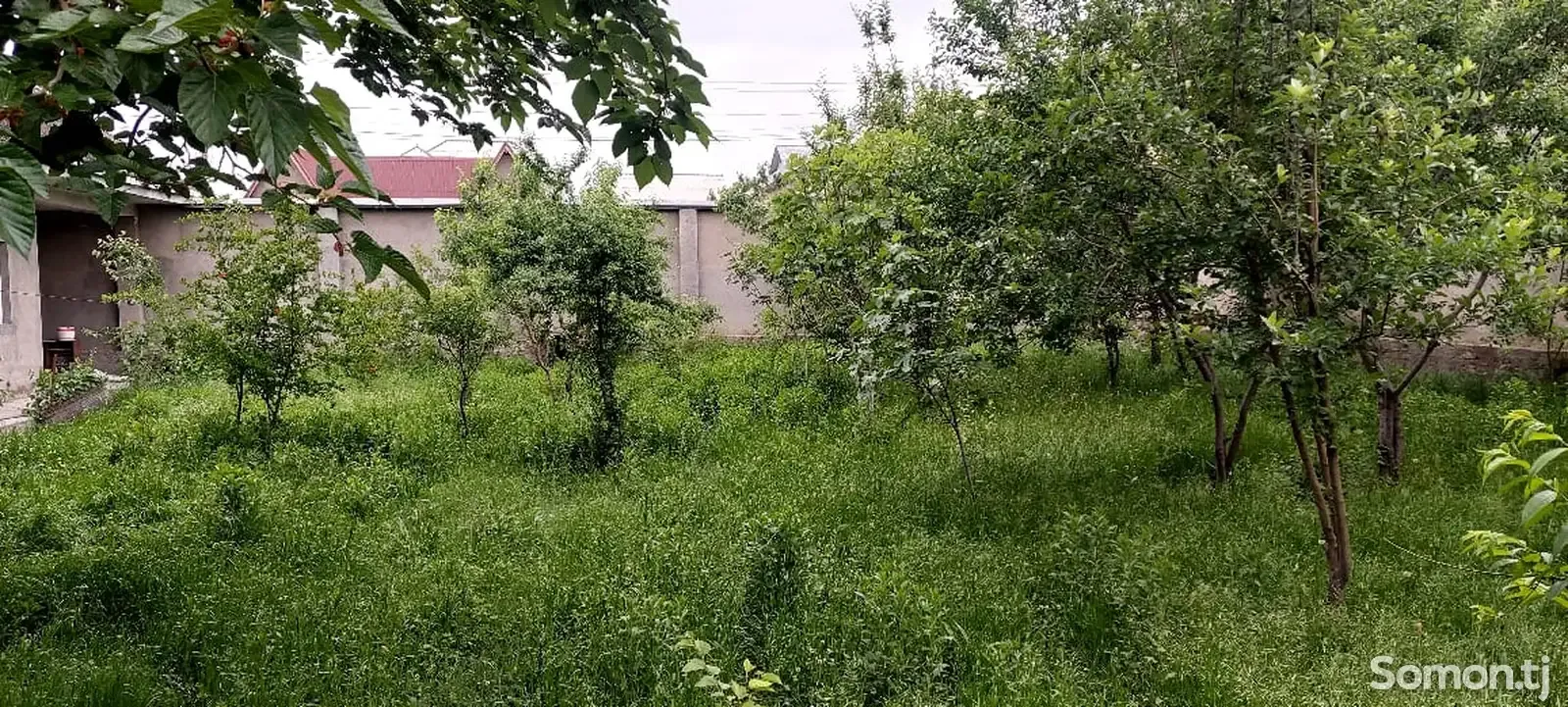 1-этажн. 2 комнатный дом, 9 соток, Фирдавси