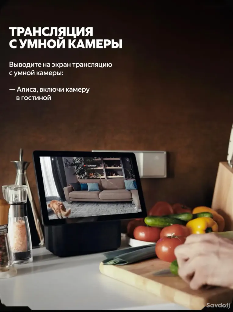 Яндекс Дуо Макс