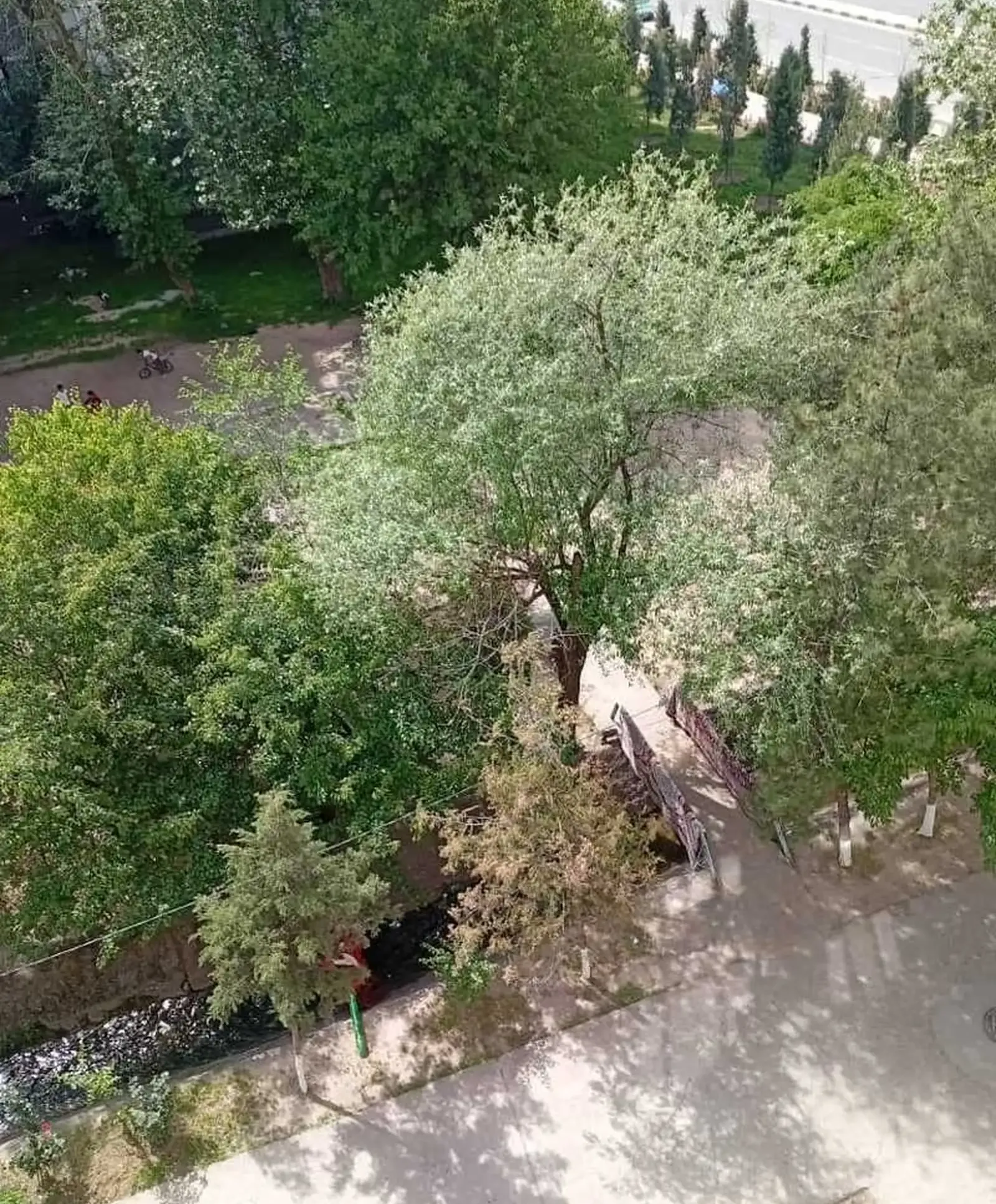 3-комн. квартира, 5 этаж, 75м², Фирдавси