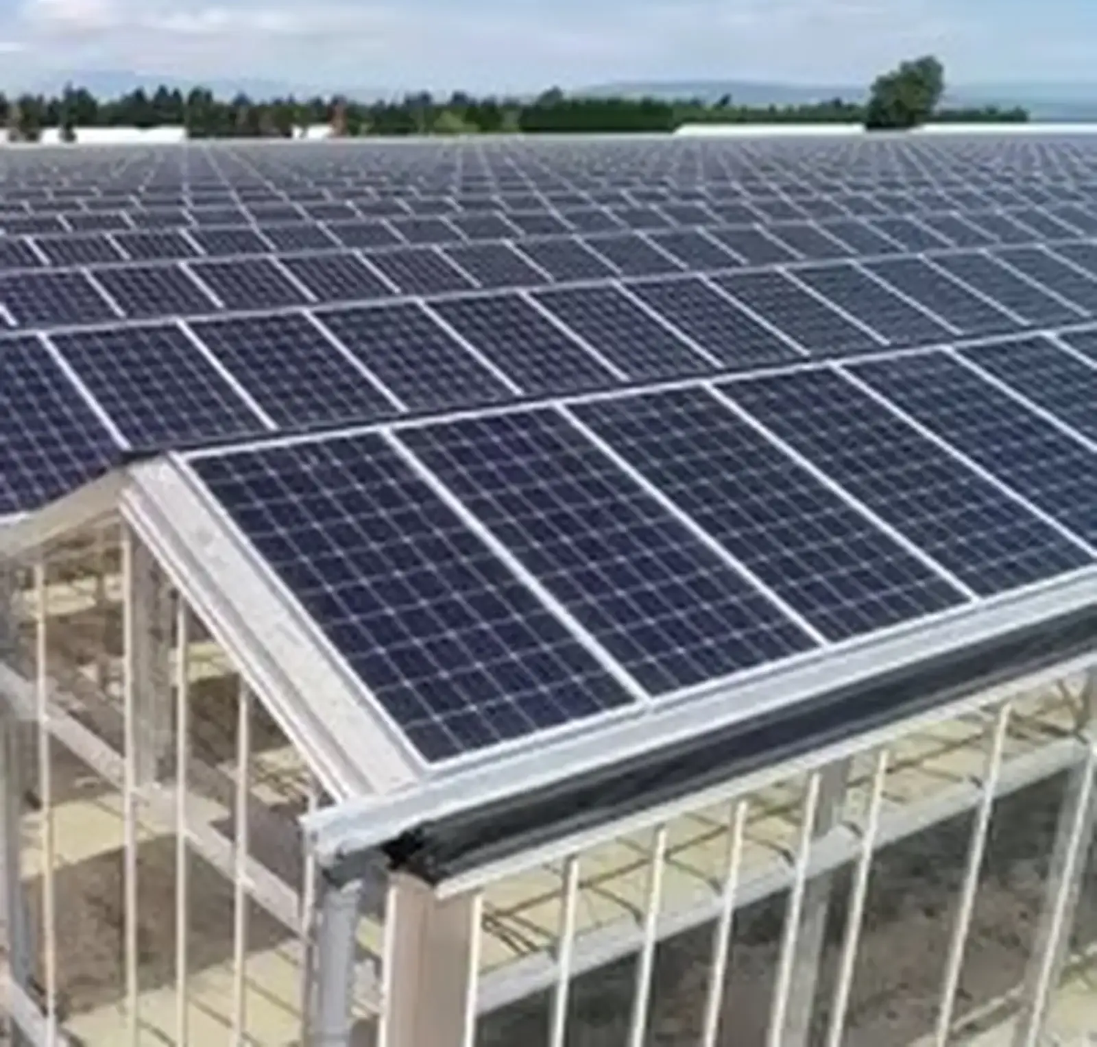 Солнечная панель 595w