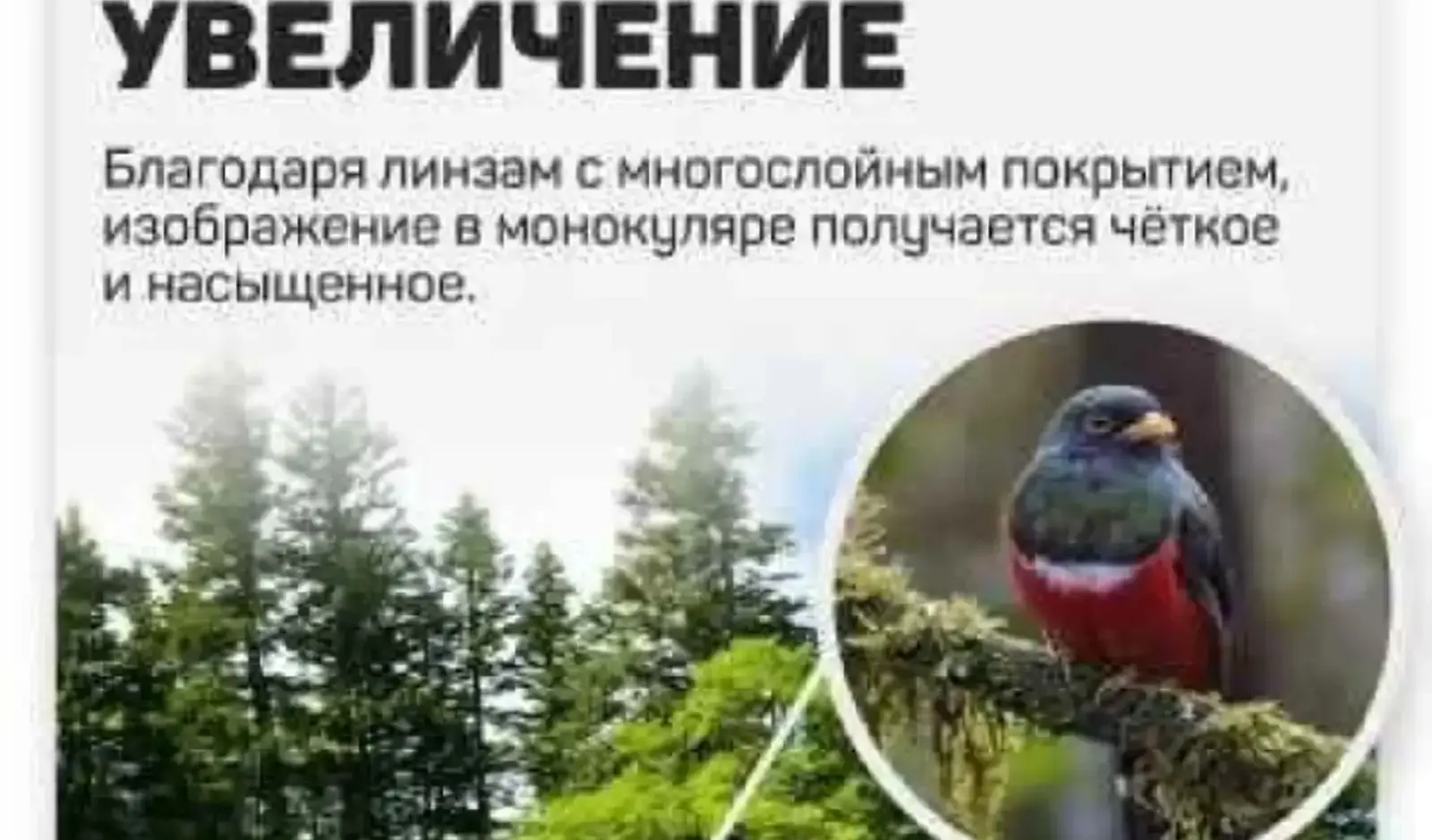 Бинокль профессиональный туристический