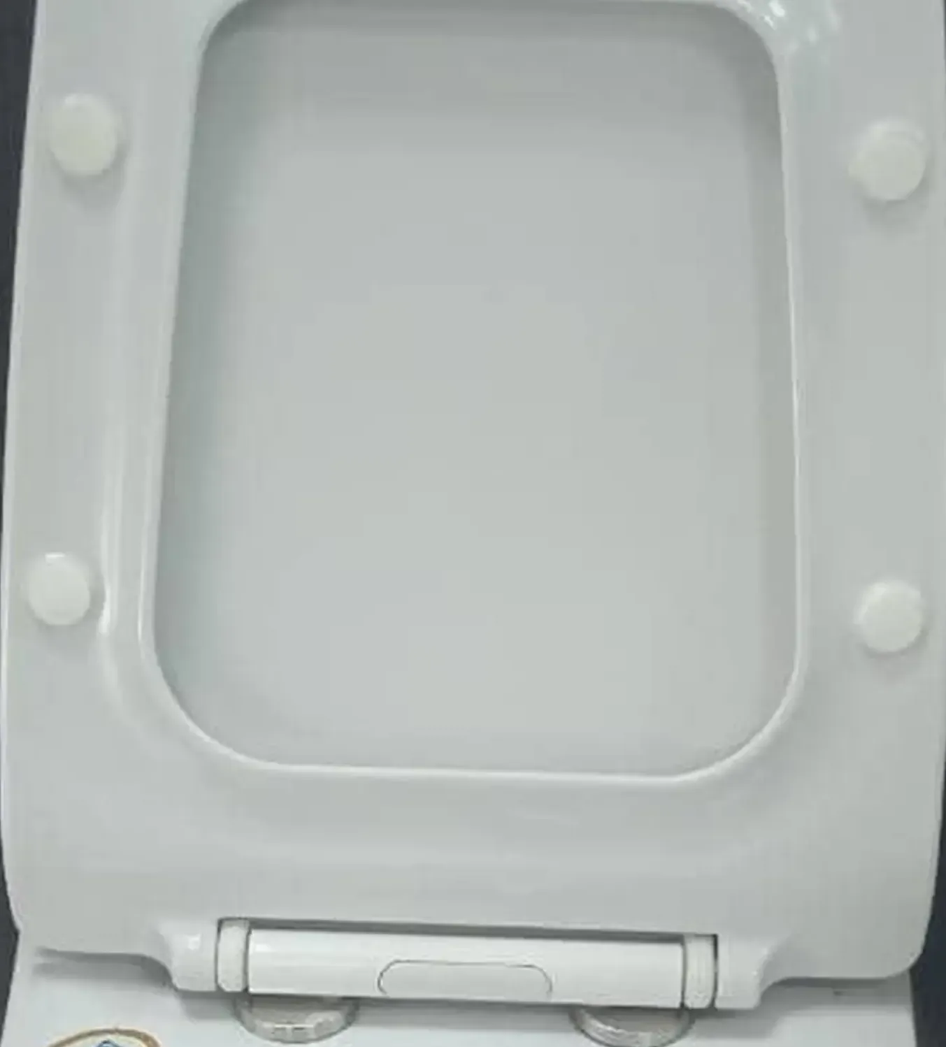 Унитаз Sanitary Coco