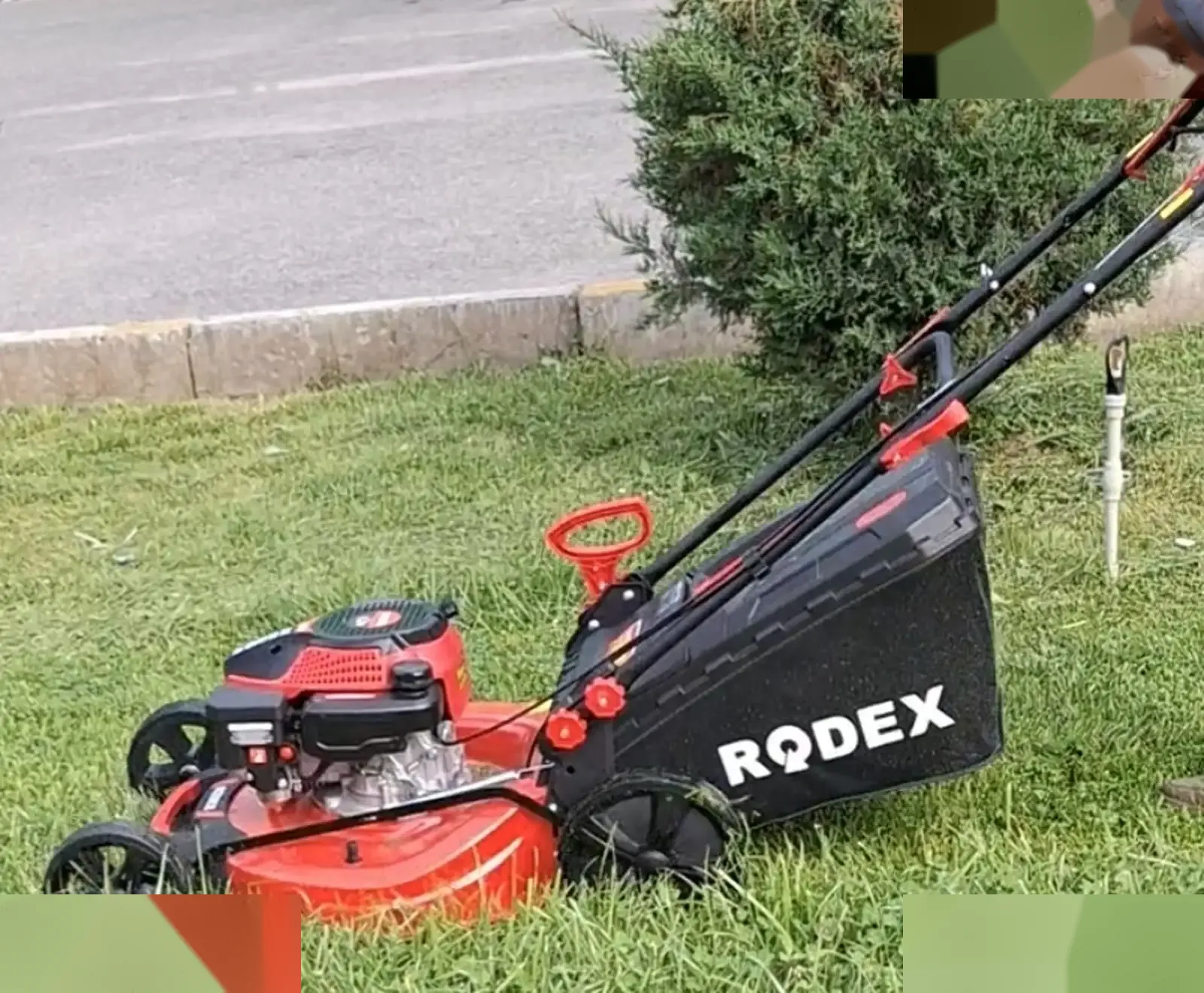 Бензиновая Газонокосилка Самоходная Rodex