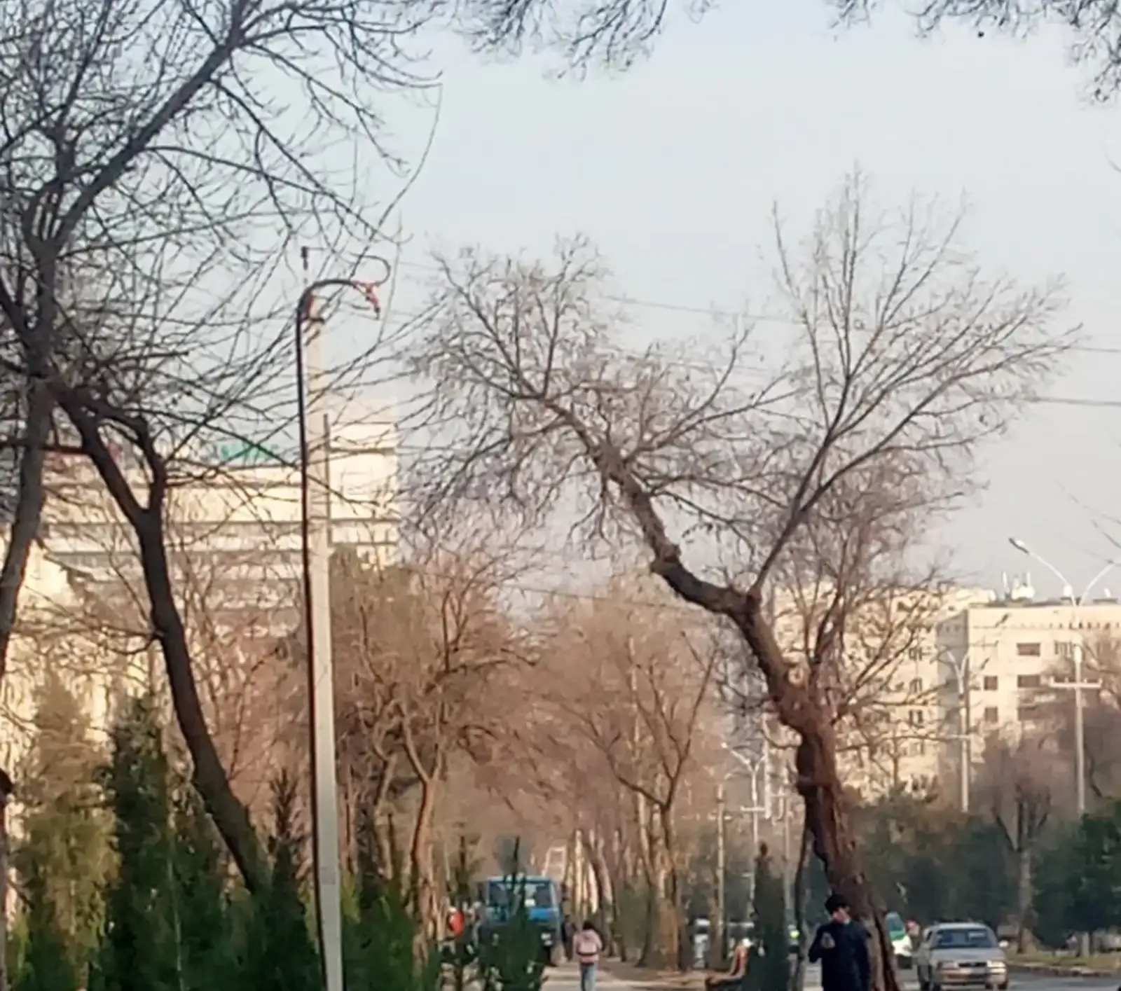 Помещение под магазин / салон, 69м², Донишгохи Тичорати