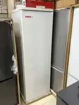 Маразильники Xingx