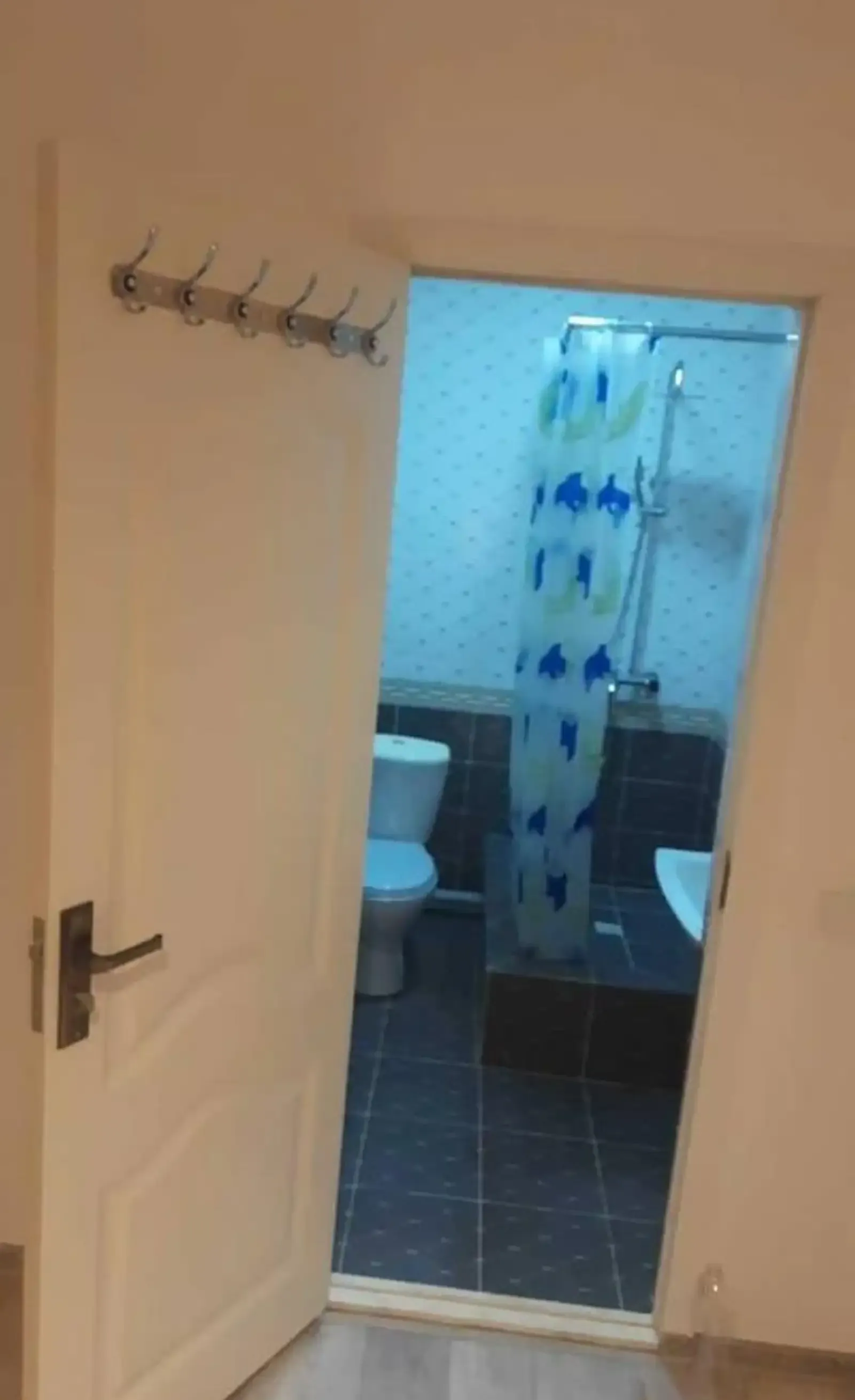 1-комн. квартира, 5 этаж, 48 м², Сомони