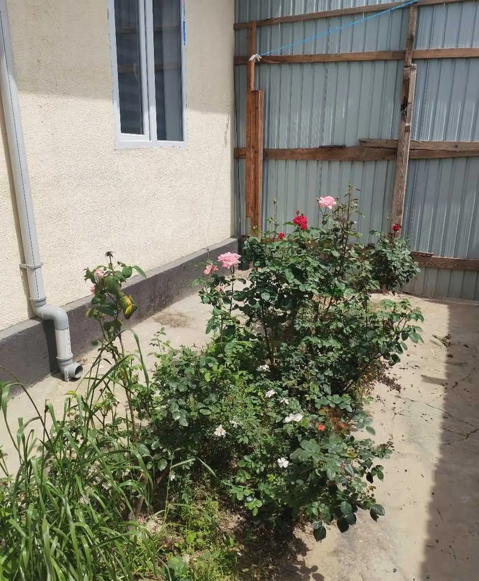 2-комн. квартира, 1 этаж, 72м², Профсоюз