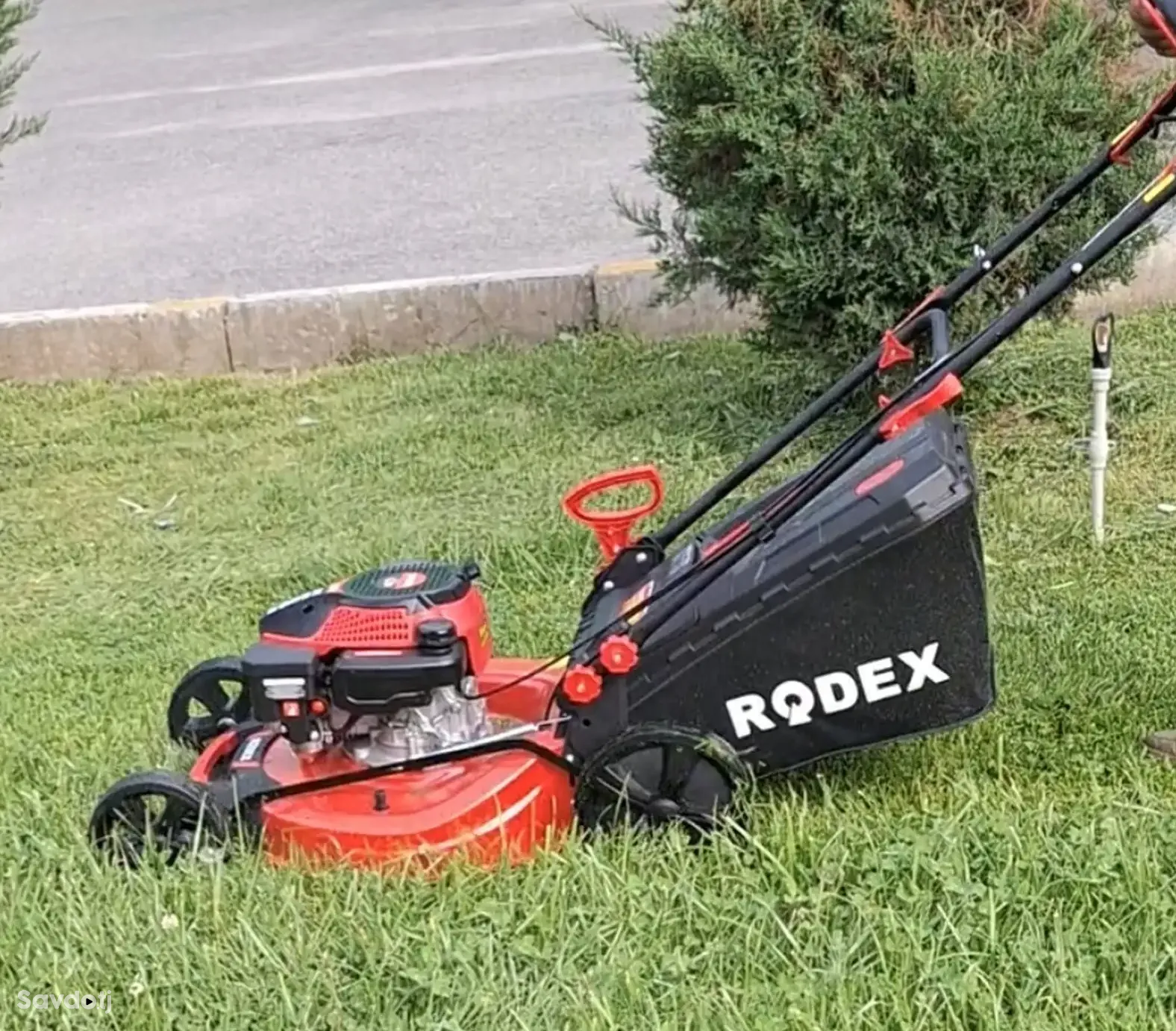 Бензиновая Газонокосилка Самоходная Rodex