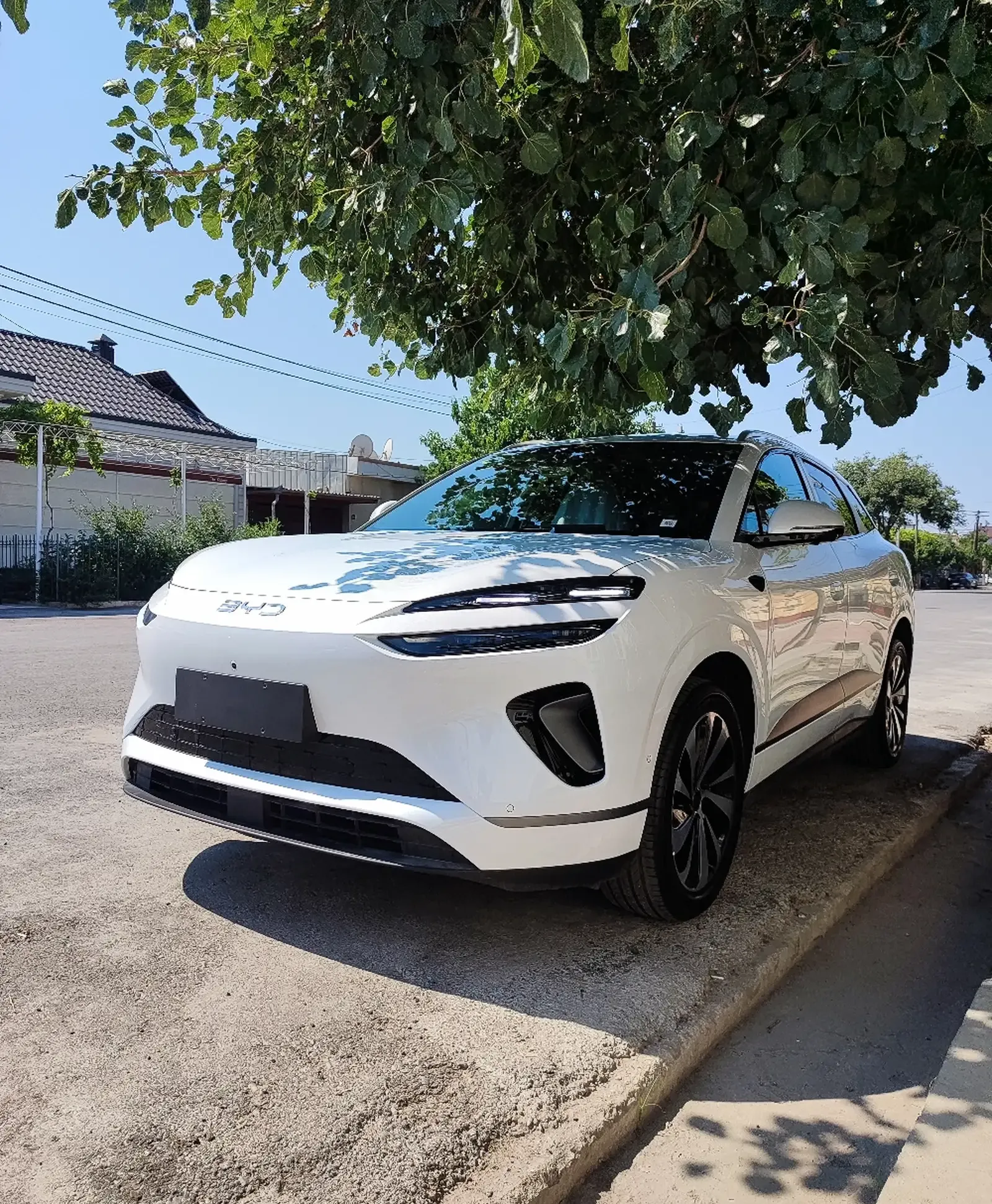 BYD Sea Lion 06, 2025