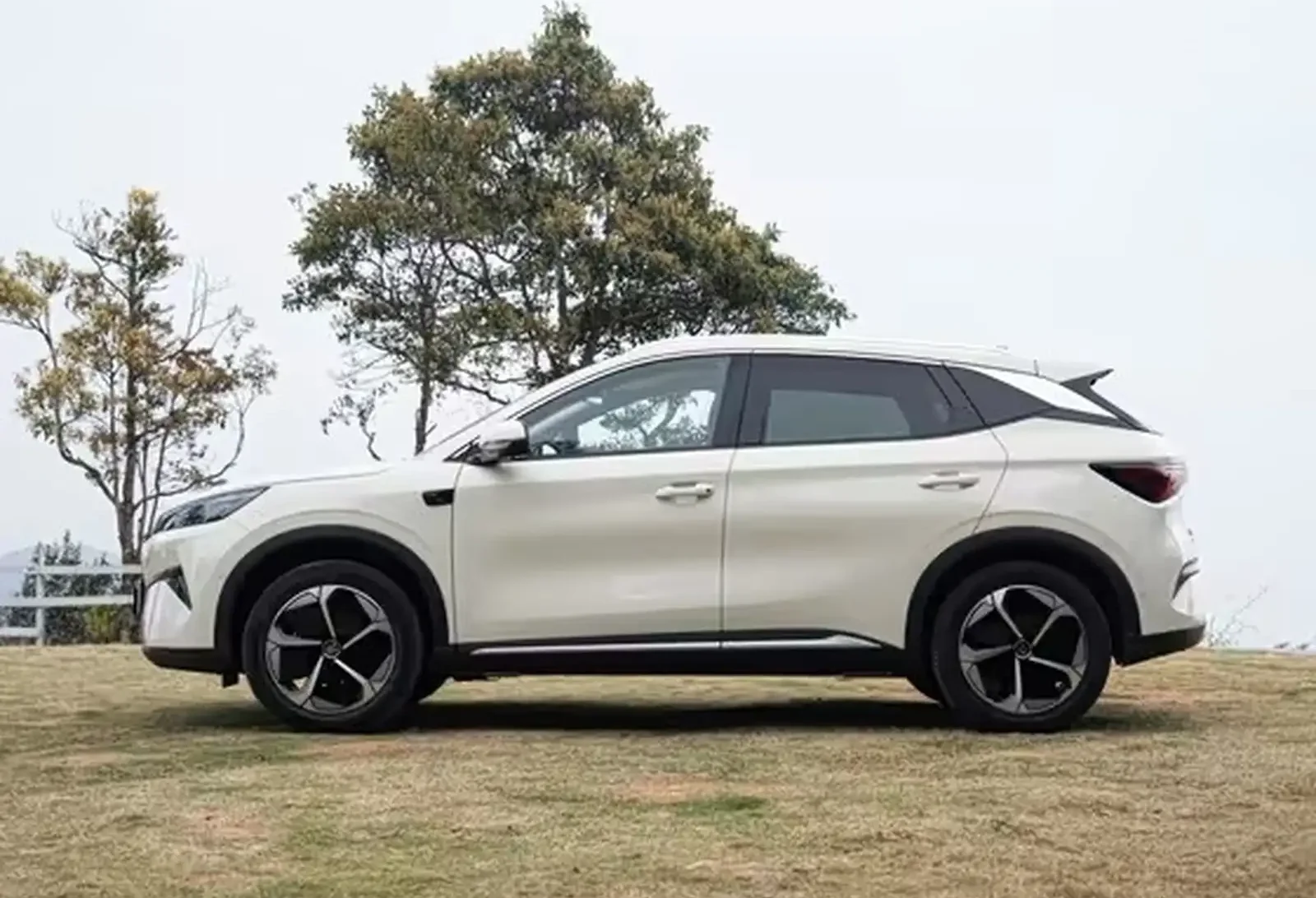 BYD Yuan Plus, 2025