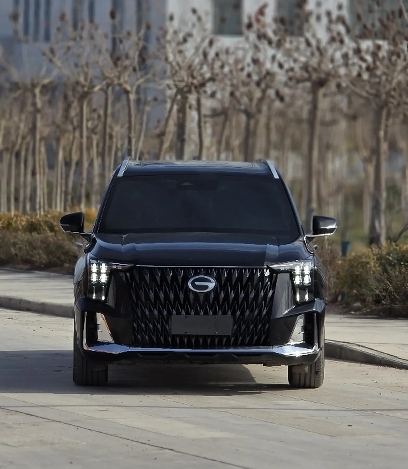 GAC Trumpchi GS8, 2021