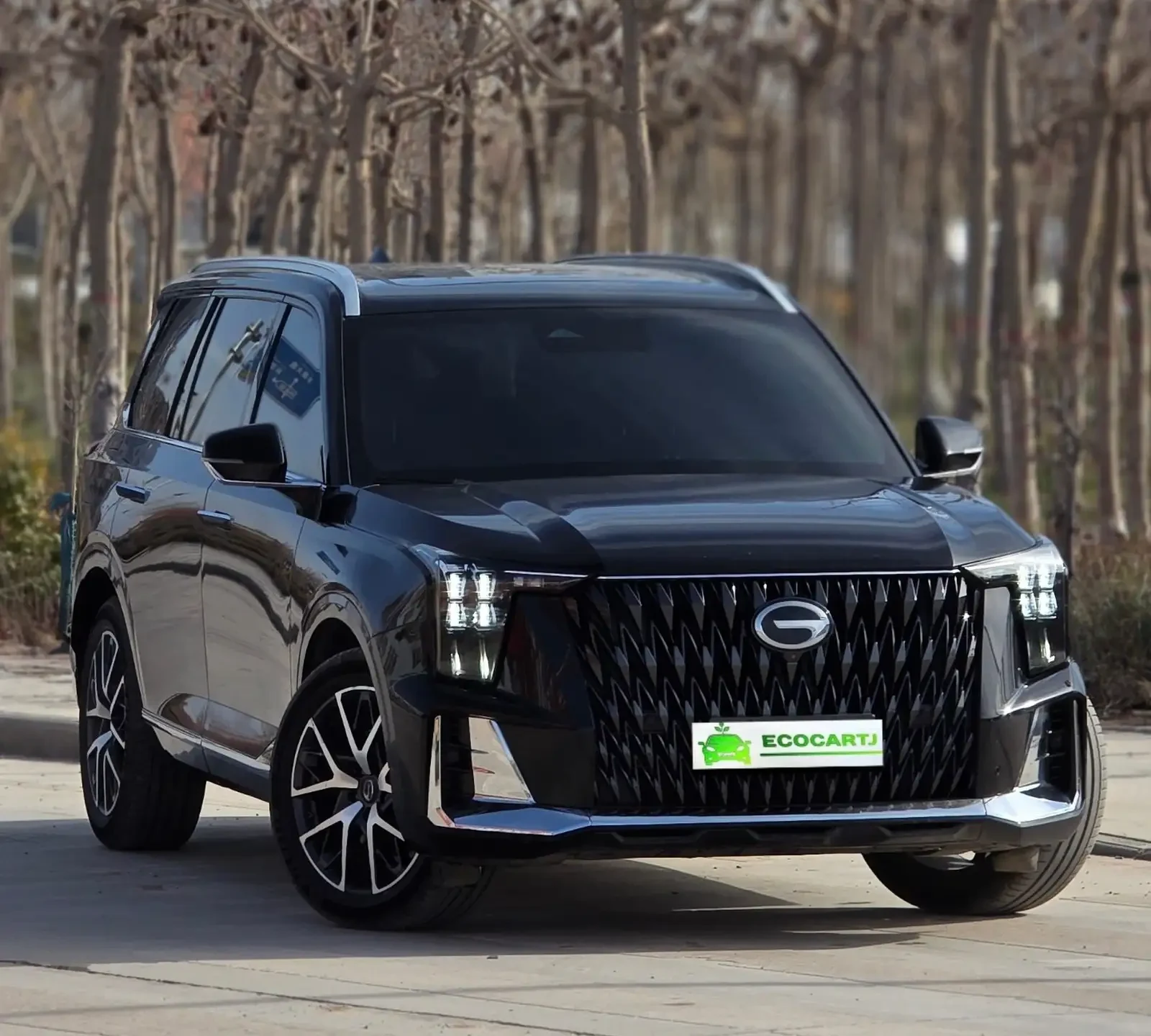 GAC Trumpchi GS8, 2021