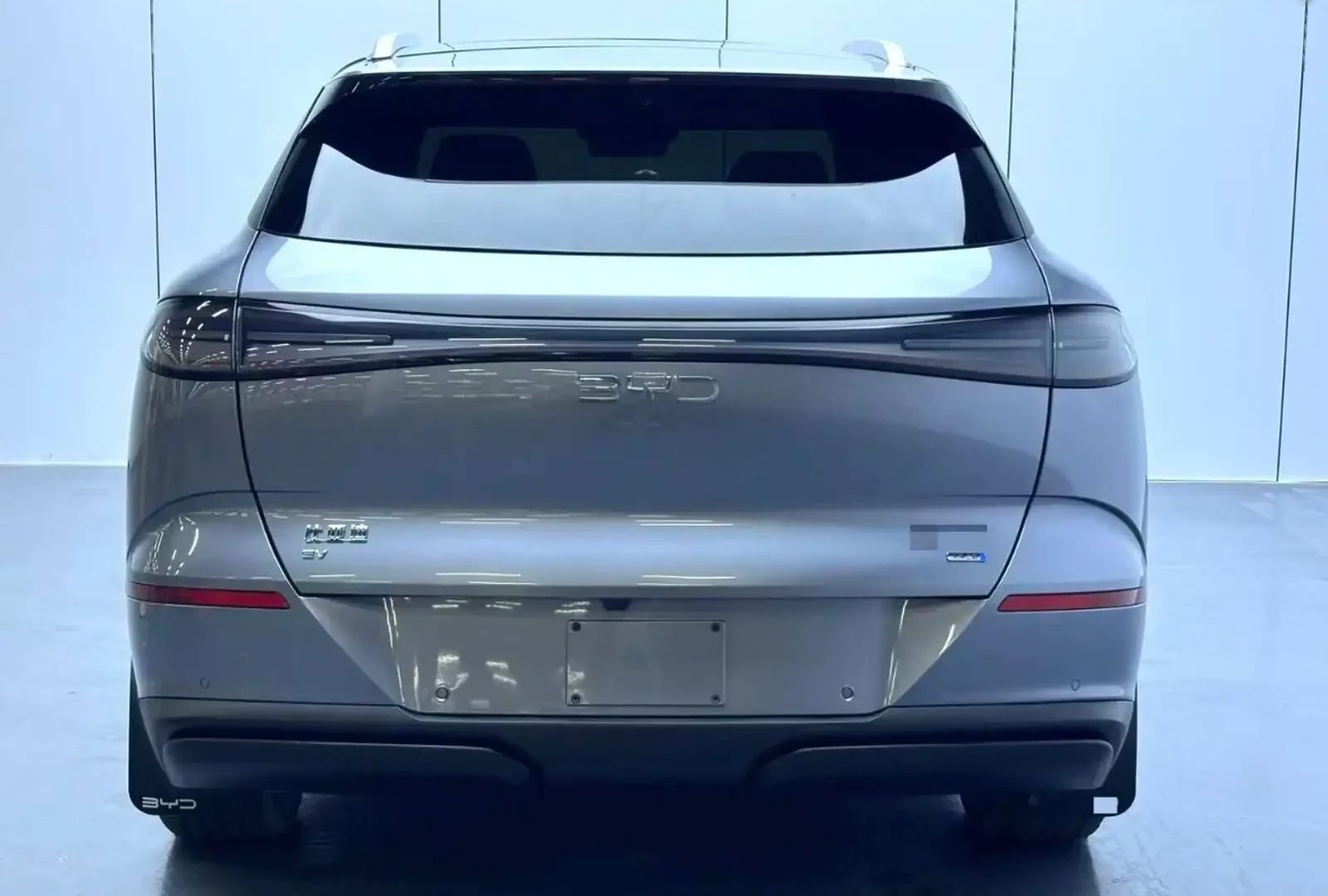 BYD Sea Lion 06, 2026