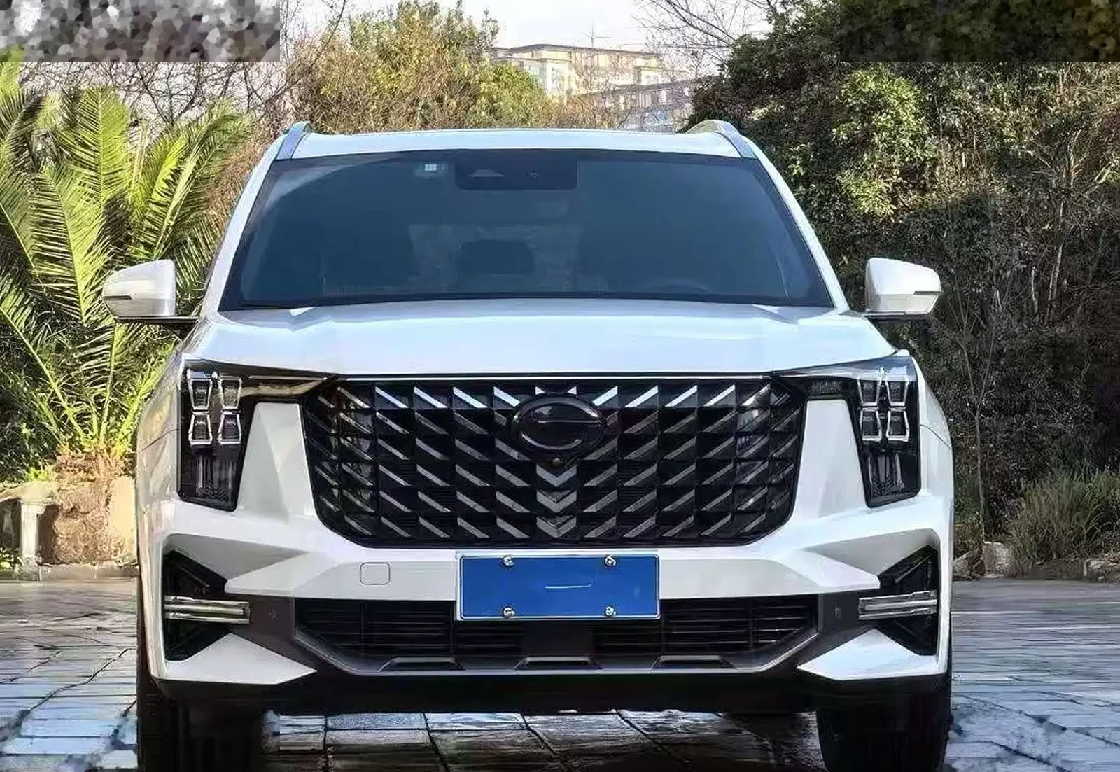 GAC Trumpchi GS8, 2022