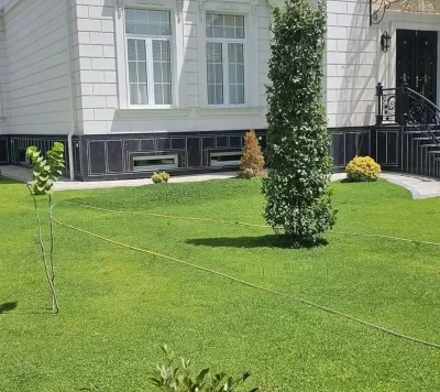 Ландшафтный дизайнер