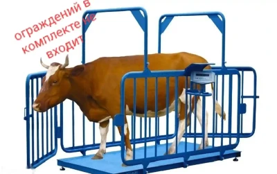 Весы для животных