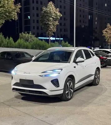 BYD Sea Lion 06, 2025