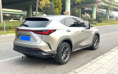 Lexus NX series, 2022 на заказ